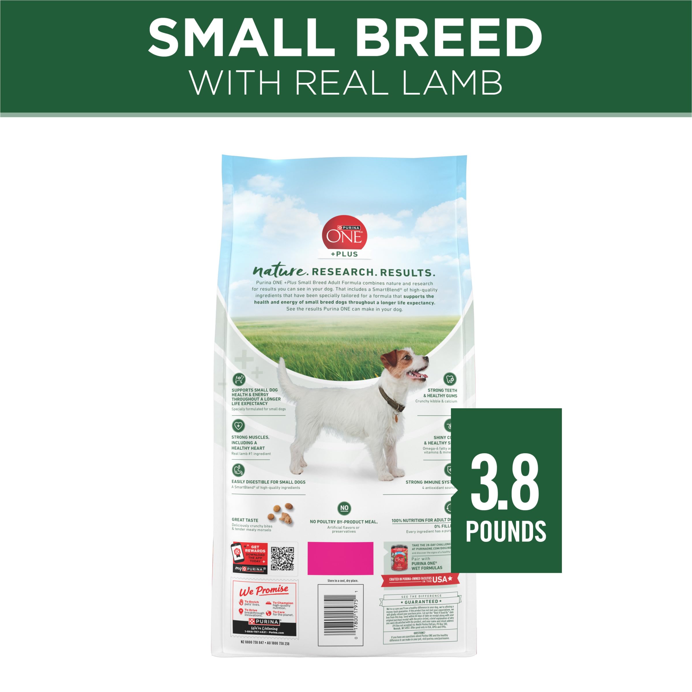 Purina ONE Plus Small Breed Lamb and Rice Formula Dry Dog Food - 3.8 lb. Bag