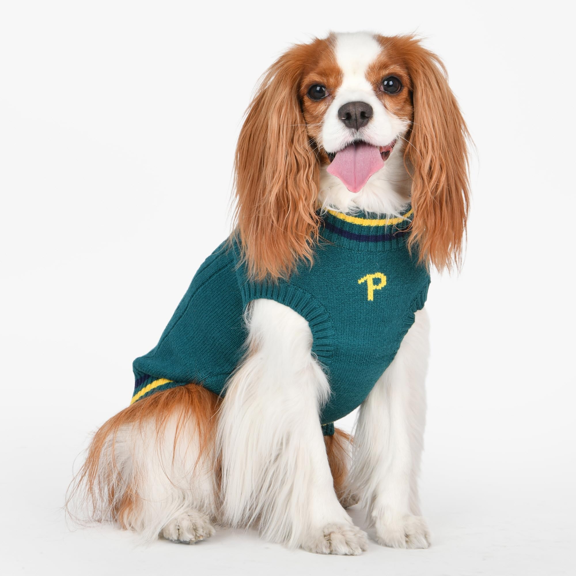 Puppia Joise Dog Knit Sweater Winter Season For Small And Medium Dogs, Green, Large