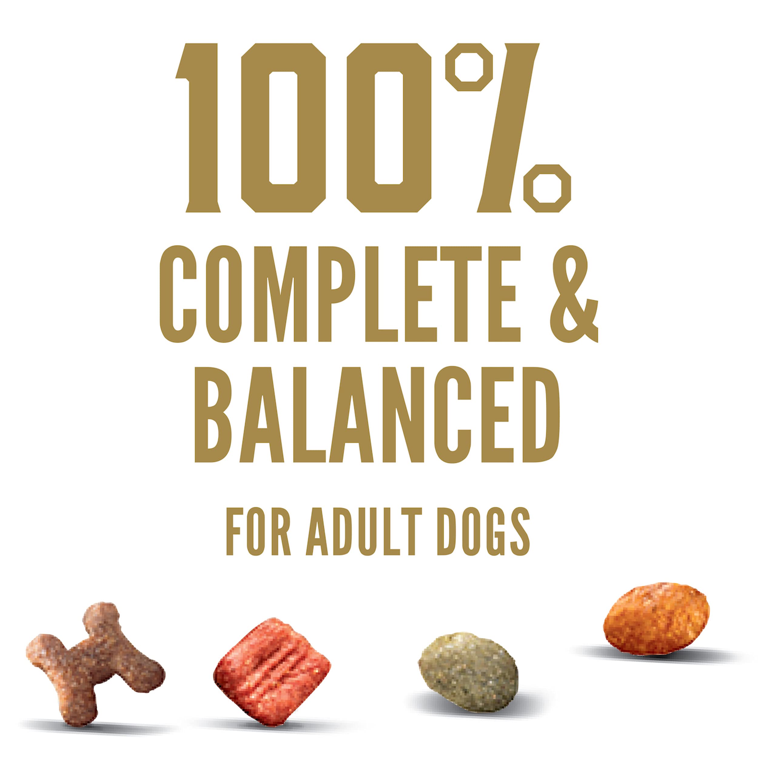 Cesar Small Breed Dry Dog Food Rotisserie Chicken Flavor and Spring Vegetables Garnish, 12 lb. Bag