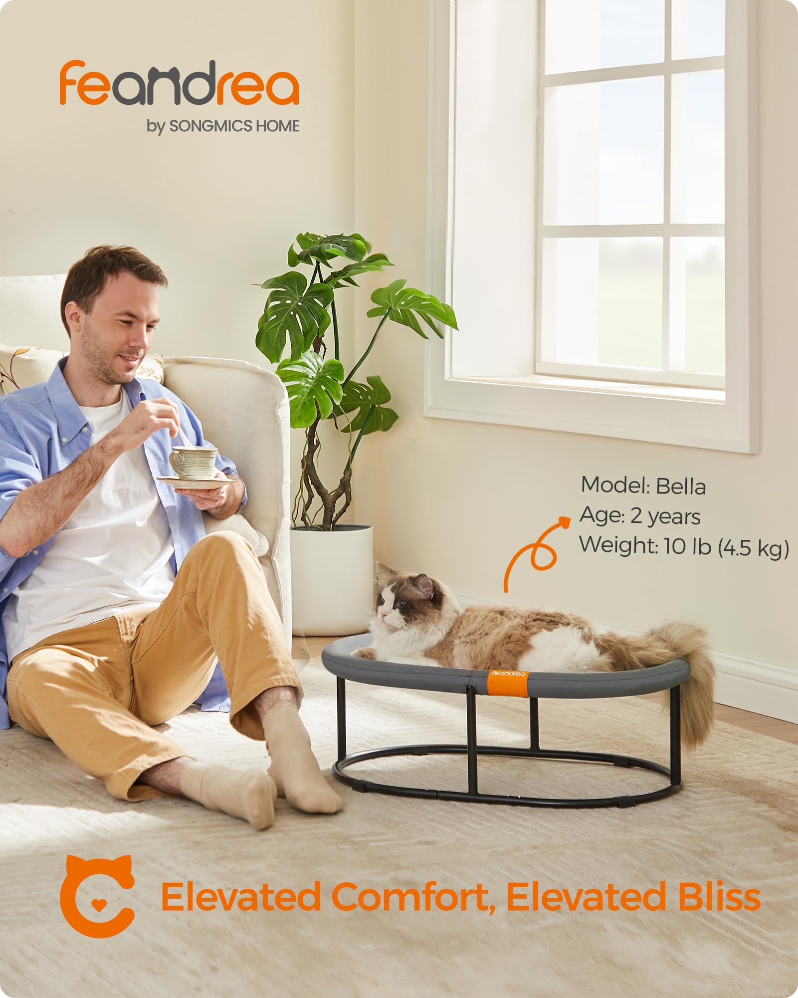 Feandrea Pet Bed, Cat Hammock, Elevated Cat Bed For Multiple Cats, With Removable Washable Mesh, For Pets Up To 28 Lb, Oval, Gra