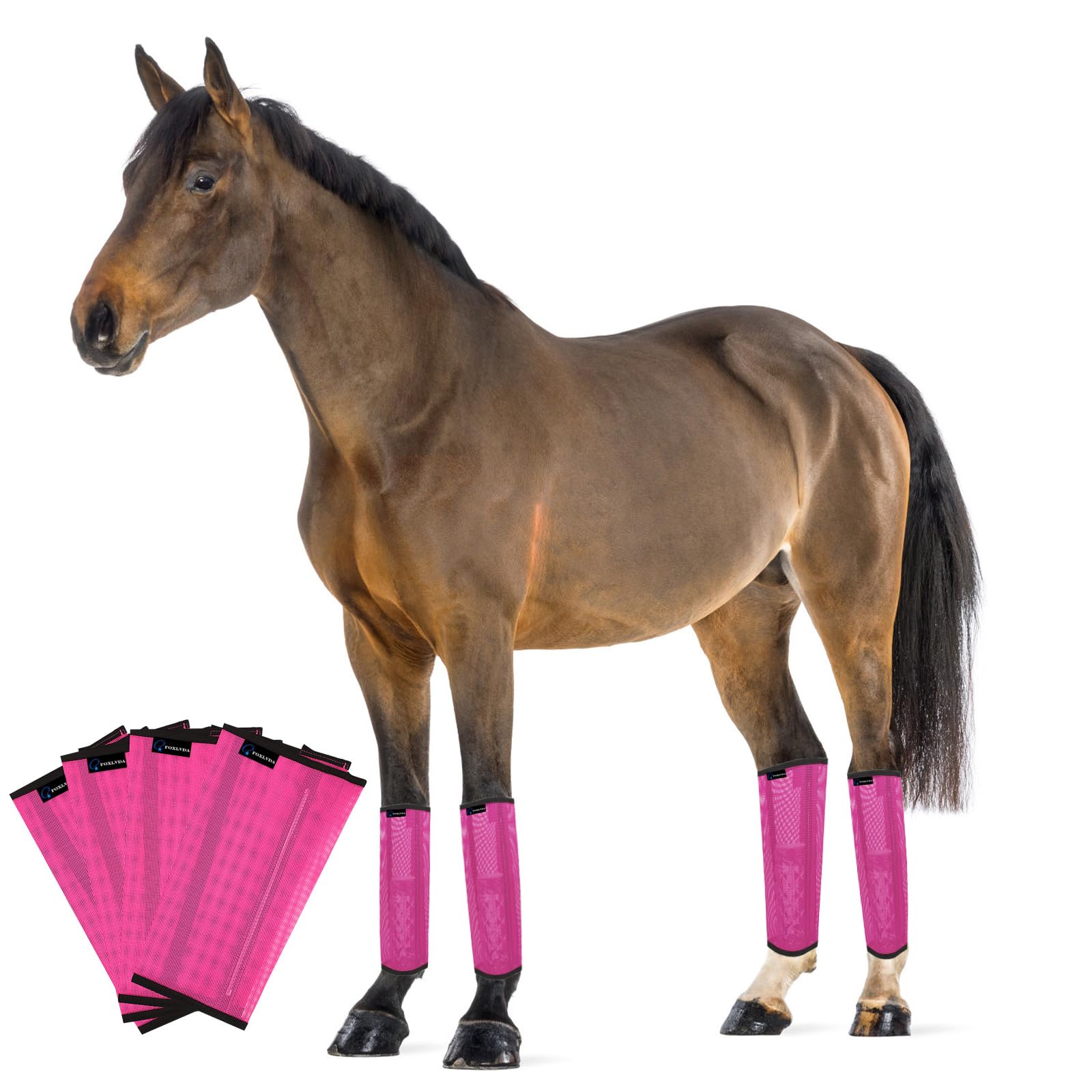 Foxlvda Horse Fly Boots - Fly Boots For Horses Set Of 4, Comfortable Horse Leggings, Mesh Material Design With Metal Support Bar