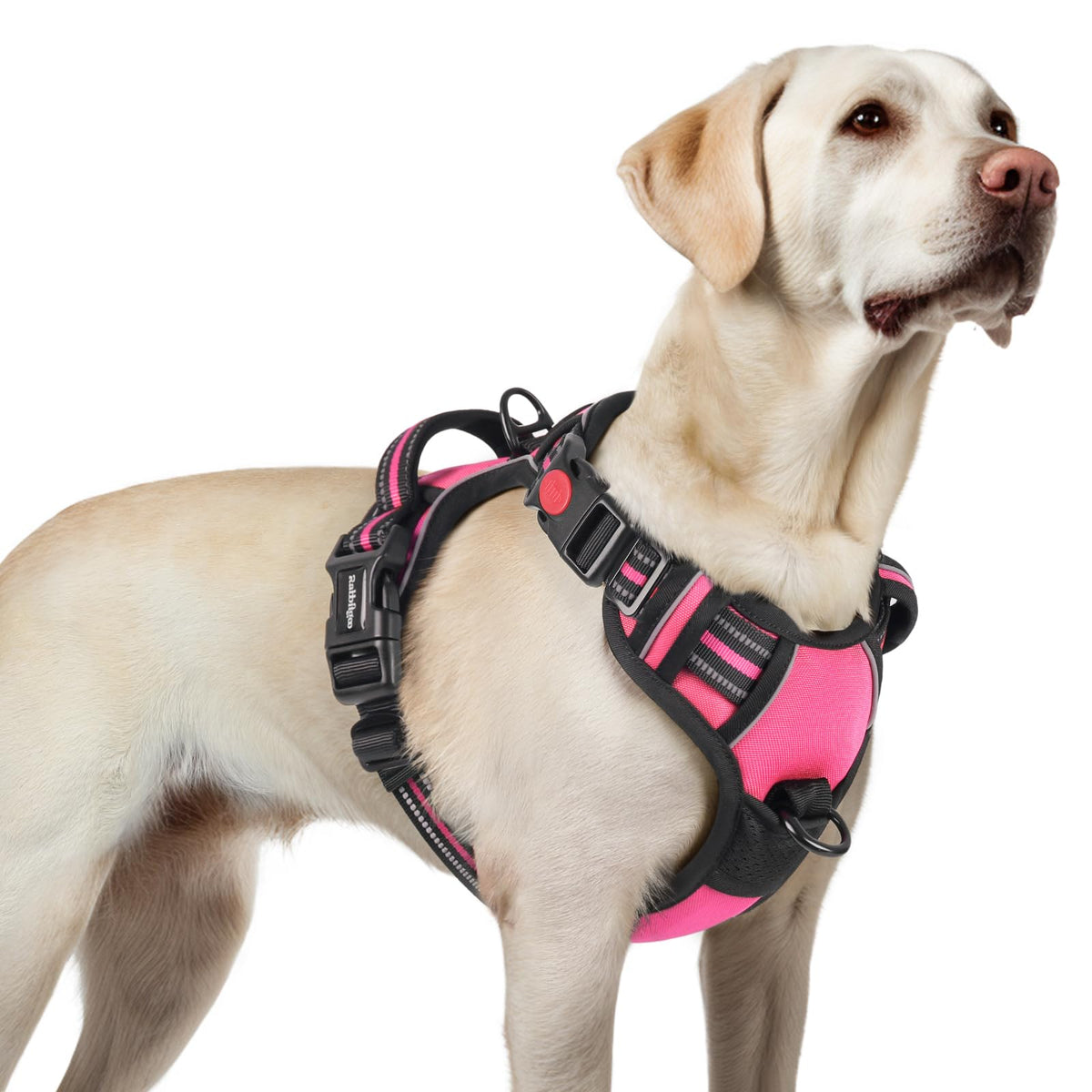 Rabbitgoo Dog Harness For Large, No Pull Pet Harness With 3 Buckles, Adjustable Soft Padded Pooch Vest With Instant Control Handle, Easy Walking Reflective Pet Vest For Large Dogs, Rose Pink, L