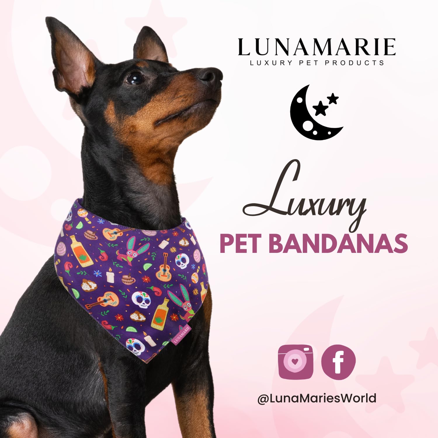 LunaMarie - Luxury Pet Birthday Bandanas -Premium & Silky Poly Fabric | 100% Handmade | Custom Shape Dual Layered (Day of The De