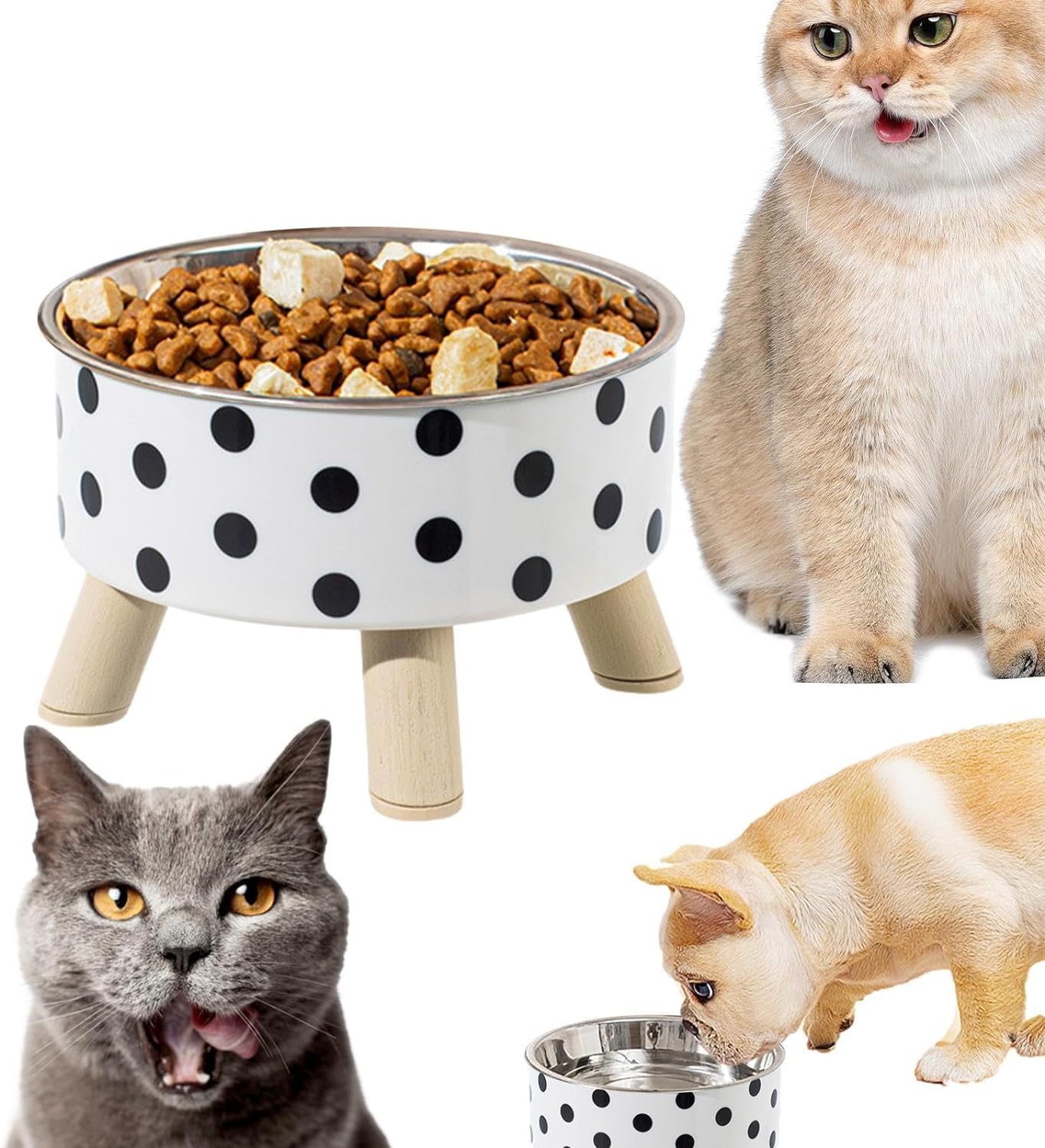 Keyoza Cat Feeding Bowl For Cat Round Food Bowl, Stainless Steel Black & White Checkered/Dotted Pet Bowl With Elevated Stand To 