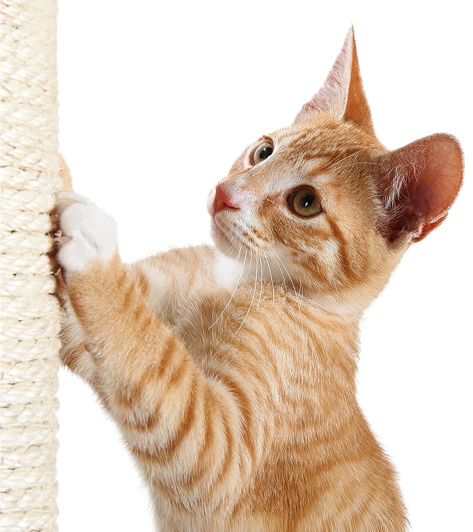 Trixie Espejo Scratching Post With Resting Platform | 27' Tall | Gray