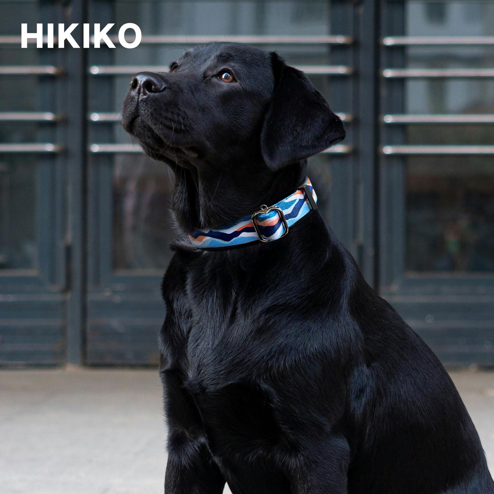 Hikiko Martingale Collar For Dogs With No Buckle Boy Male No Slip Dog Collars For Large Dogs,Blue Mountain,L