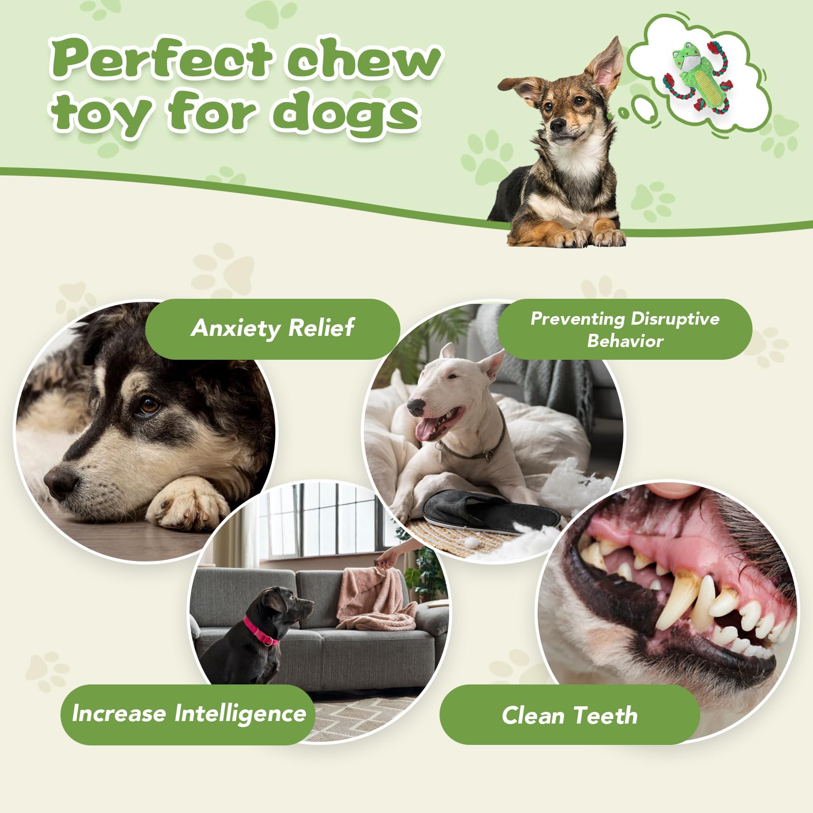 Pawspurr Squeaky Dog Toys, Dog Rope Toys Indestructible Natural Cotton Interactive Dog Toys, Tug Of War Tough Chew Toys For All