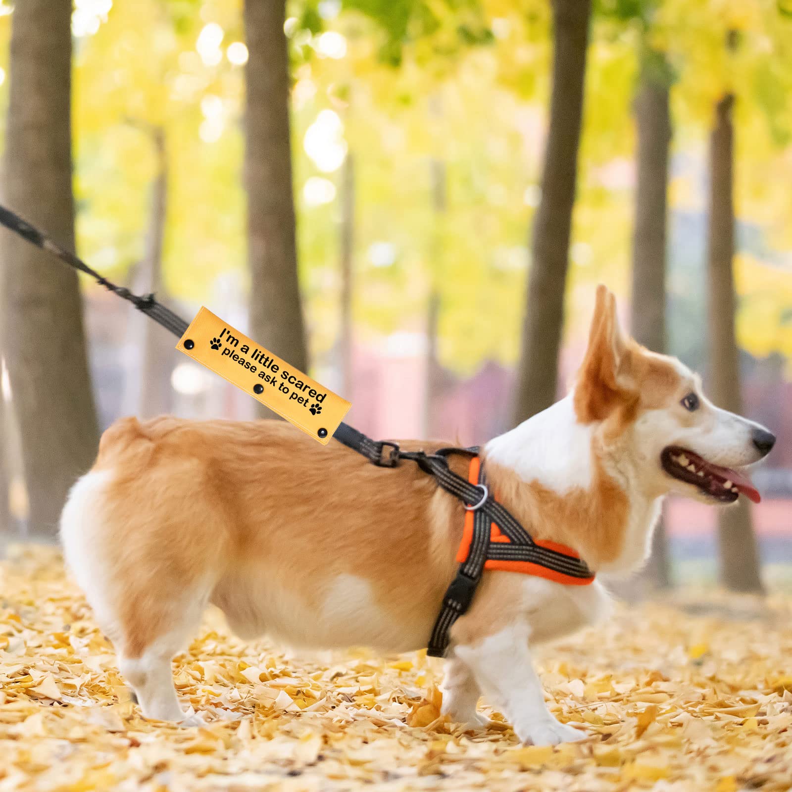 Pwhaoo Scared Dogs Leash I'M A Little Scared Please Ask To Pet Dog Leash Wrap Anxious Dogs Leash Sleeve (Little Scared Sleeve)