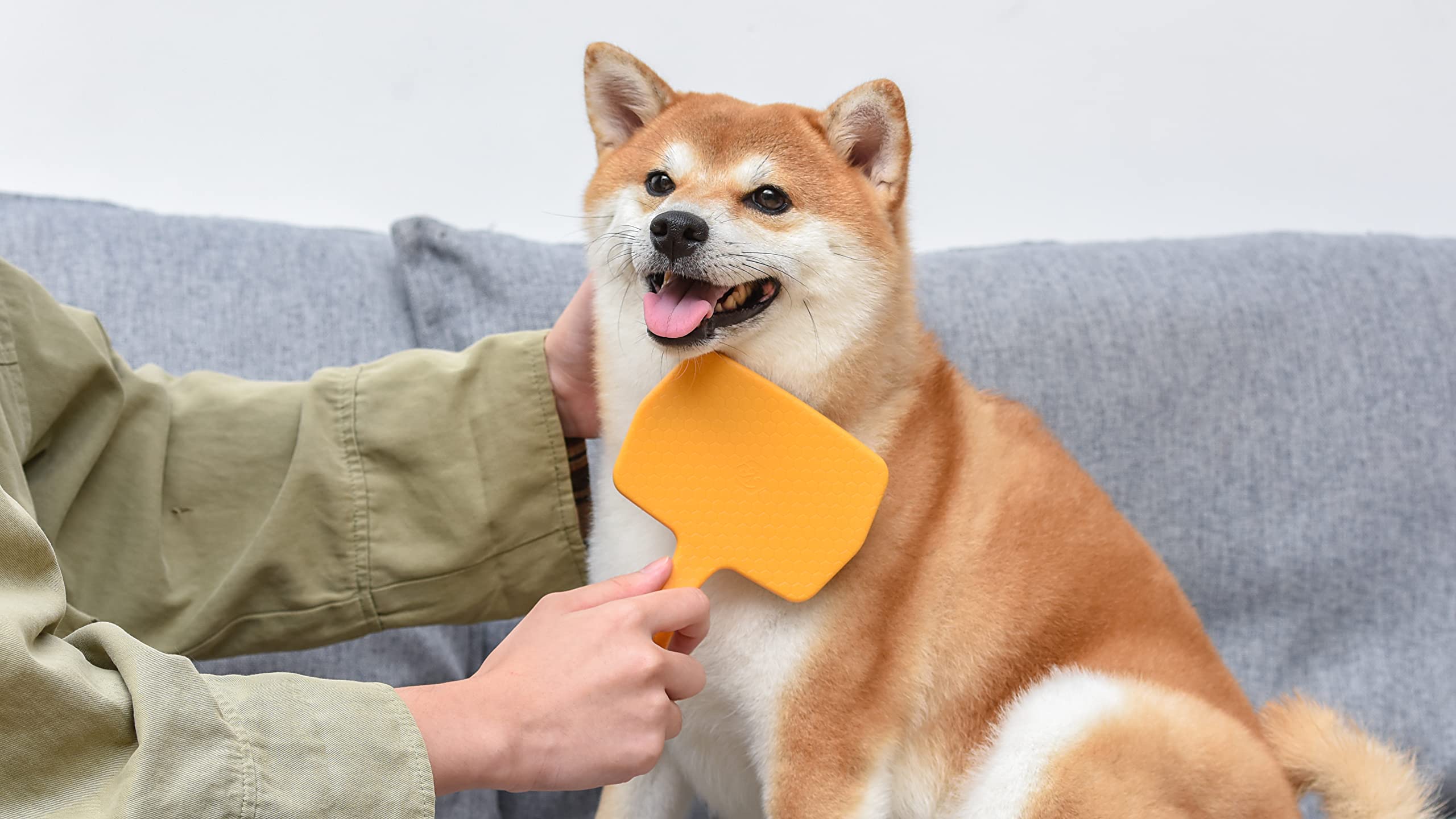 Burt’S Bees For Pets Large Slicker Brush For Dogs With Thick Or Curly Hair With Handle Made From Recycled Plastics Collected From Coastal Communities | De-Shedding Dog Brush Removes Knots And Matting