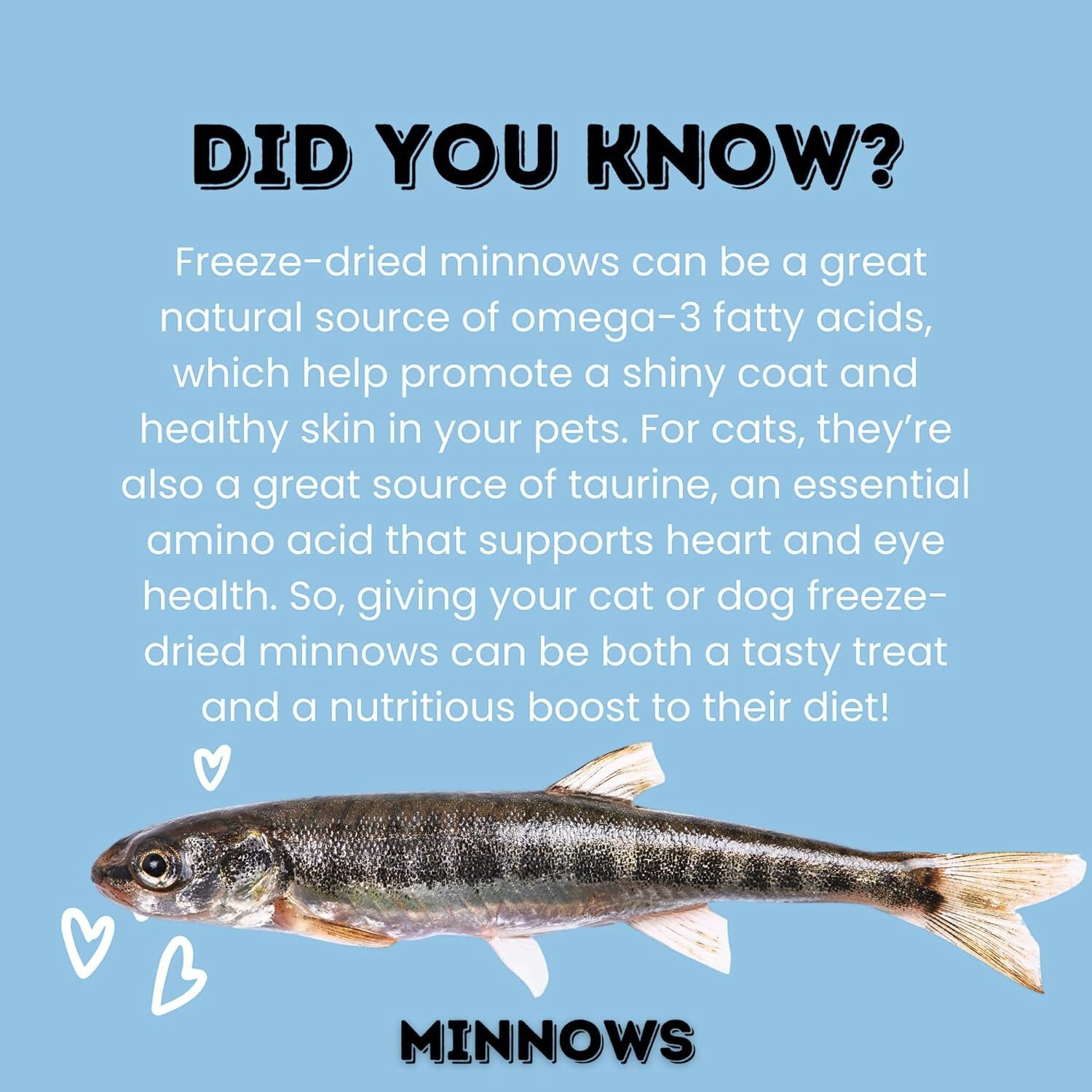 hotspot pets Freeze Dried Minnows - Healthy Treats for Cats & Dogs -1 Pound Big Bag (Made in USA) All Natural, High Protein, Ric