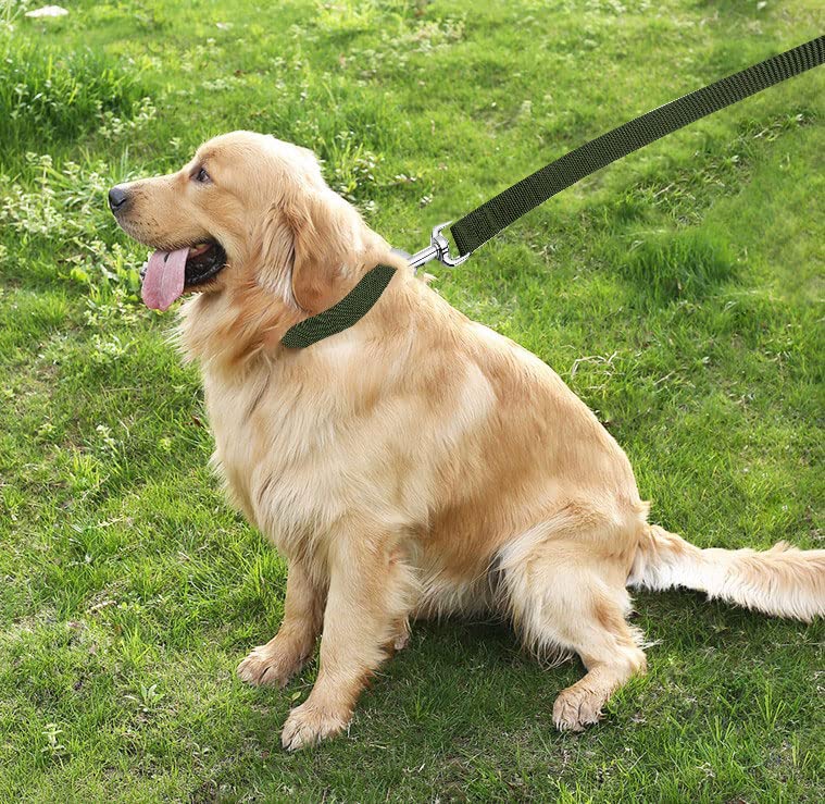 Taian 4Ft/5Ft/6Ft Strong Dog Leash, Nylon Dog Leashes For Small Medium Large Dogs (1 In X 5 Ft, Green)