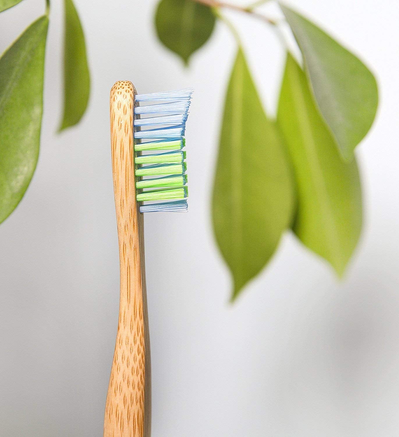 WOOBAMBOO Soft Dog Toothbrush, Large, Blue/Green, 5 Pound