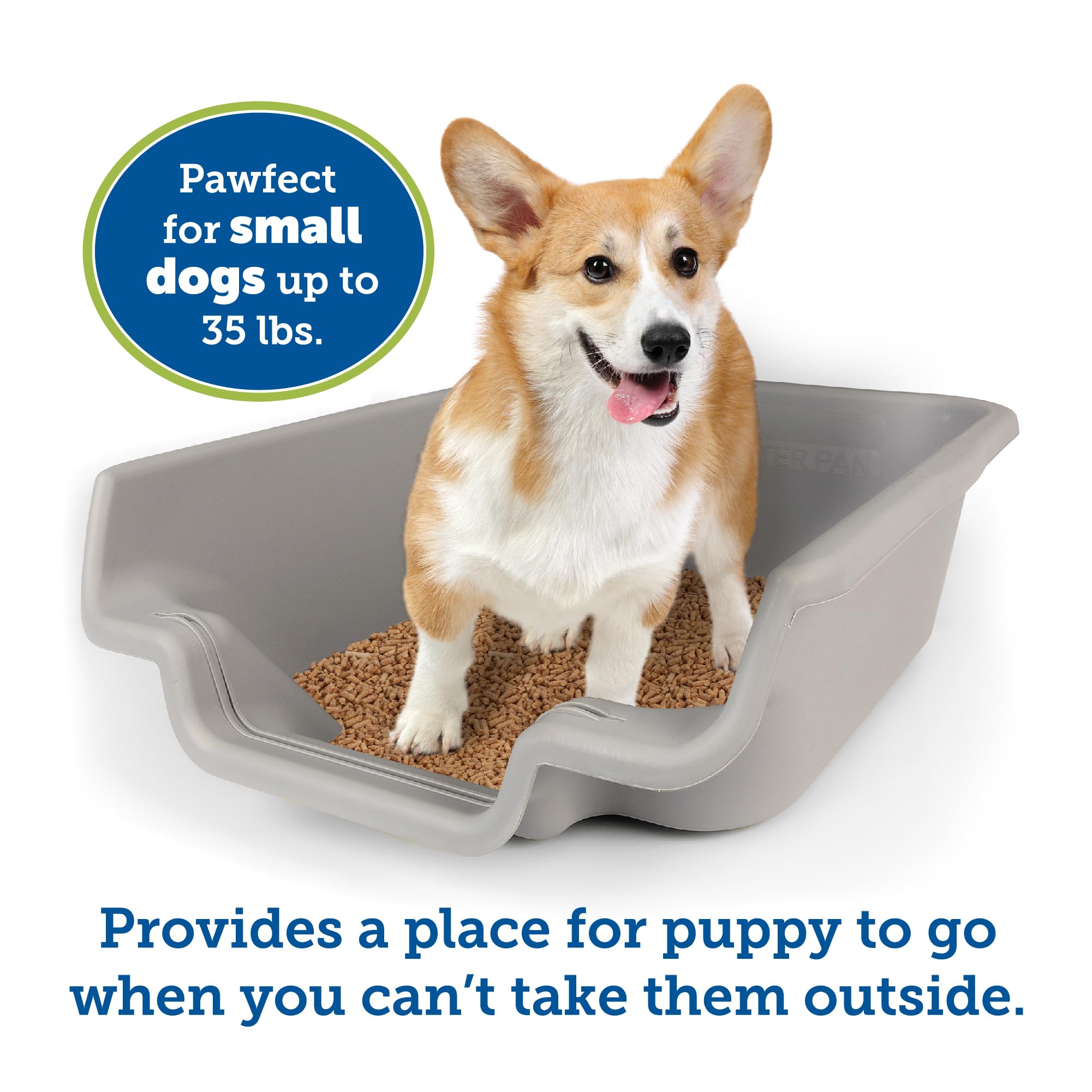 PuppyGoHere Dog Litter Box - Extra Large, Misty Gray, Durable Polypropylene, Open Top Design for Dogs up to 35 lbs