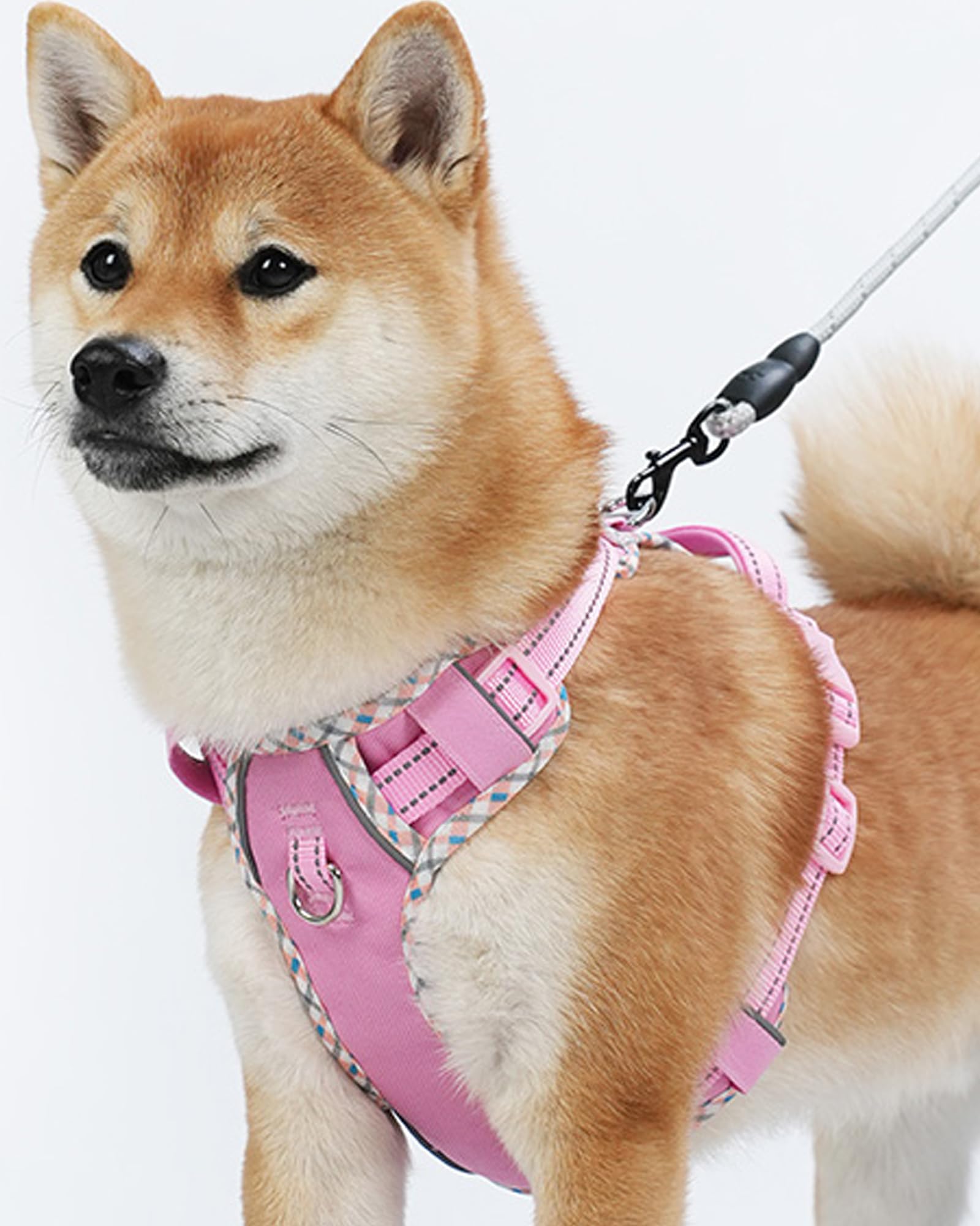 Petank Dog Harness - No Pull XXS Nylon Harness for Small Dogs, Pink, Model PTJJXC034