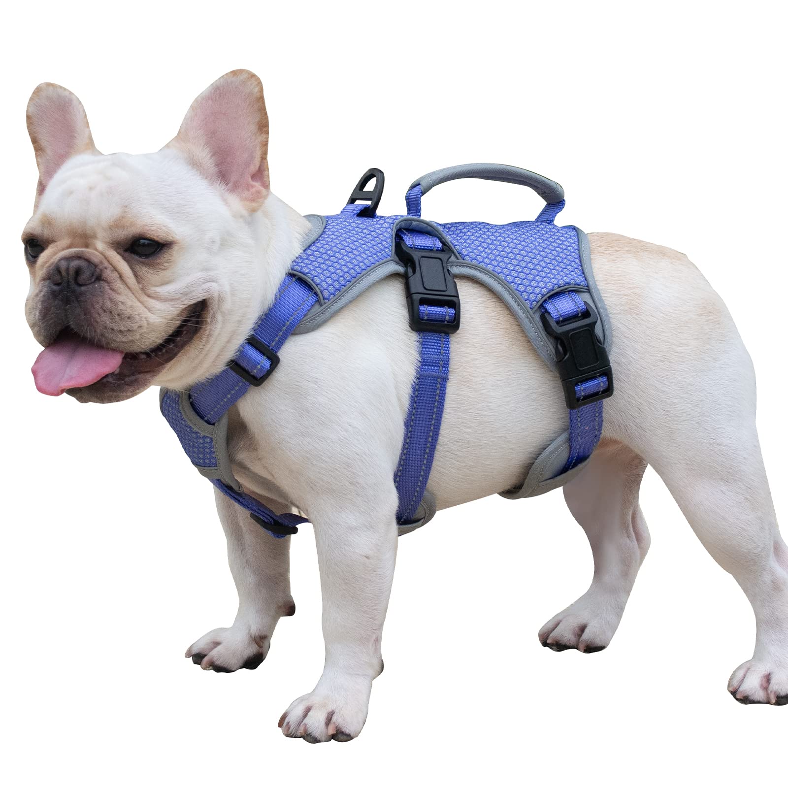Escape Free Dog Harness, No Slip Harness With Lift Handle, Adjustable No Pull Vest With Soft Breathable Padded And Leash Clip For Medium And Large Dogs Walking Hiking Training (Technicolor Blue,Xl)