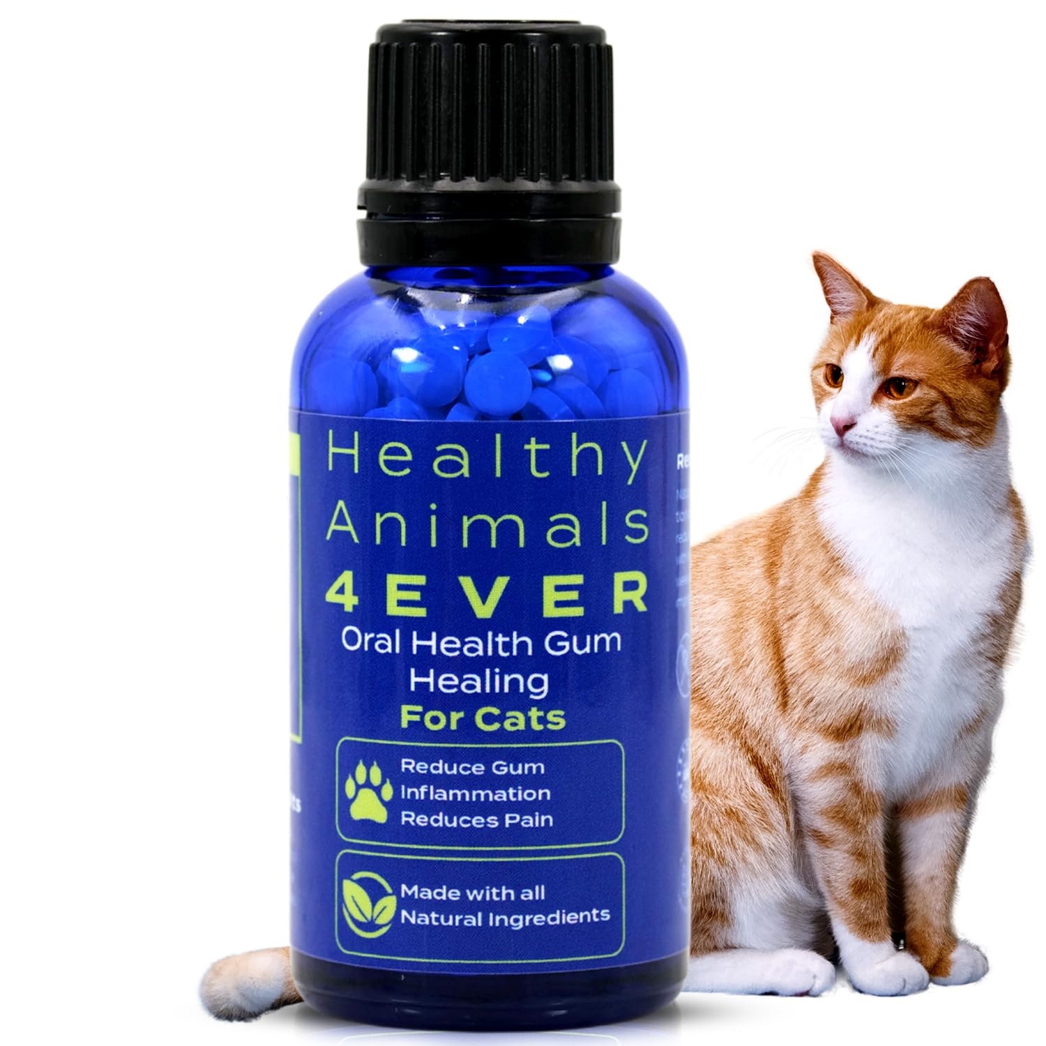 Healthy Animals 4 Ever Oral Health Gum Healing for Cats - Relieves Inflammation, Soothes Pain, Fights Gum Disease - Natural, Non