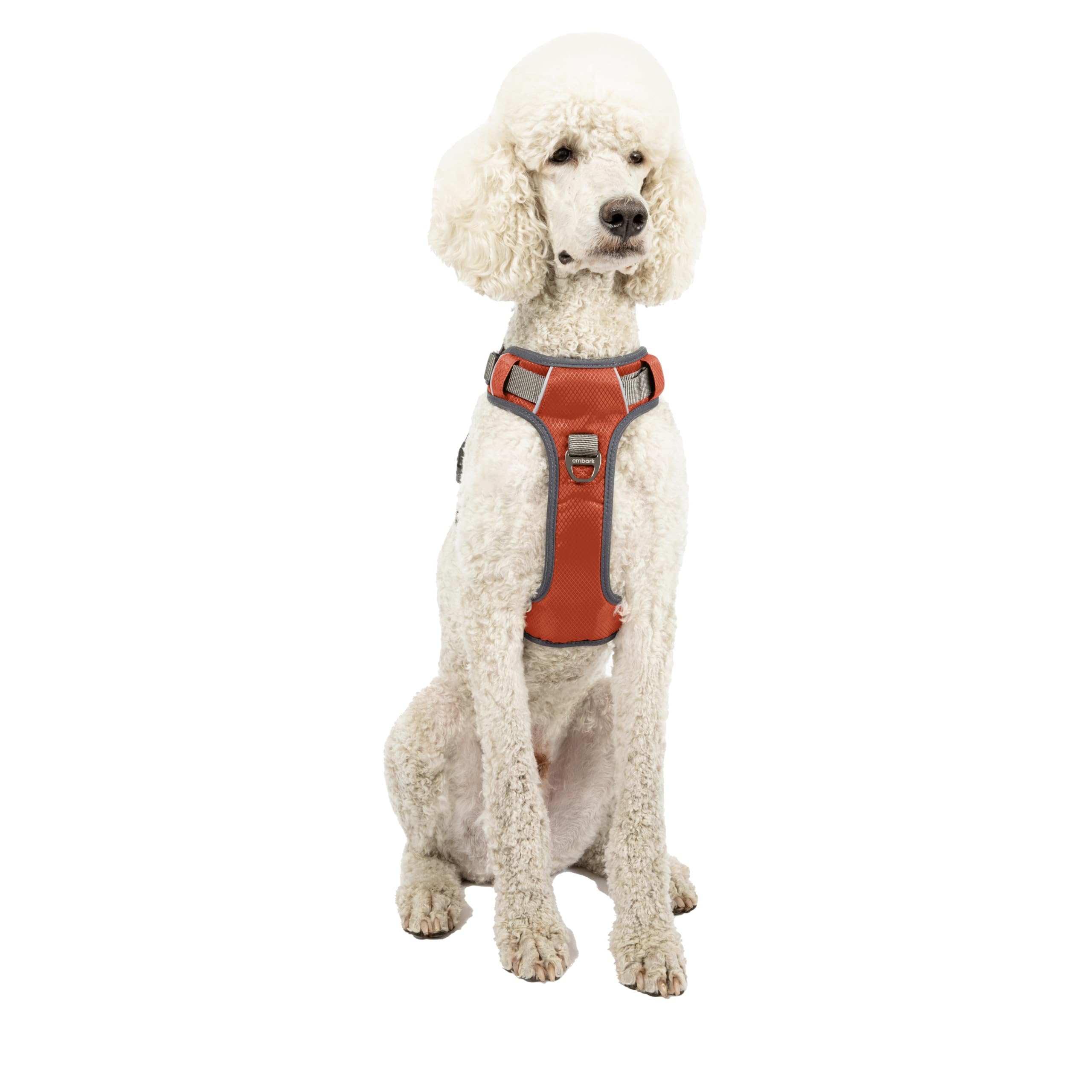 Embark Adventure Dog Harness, No Pull Dog Harness With 2 Leash Clips, Dog Harness For Medium Dogs No Pull. Front & Back With Con