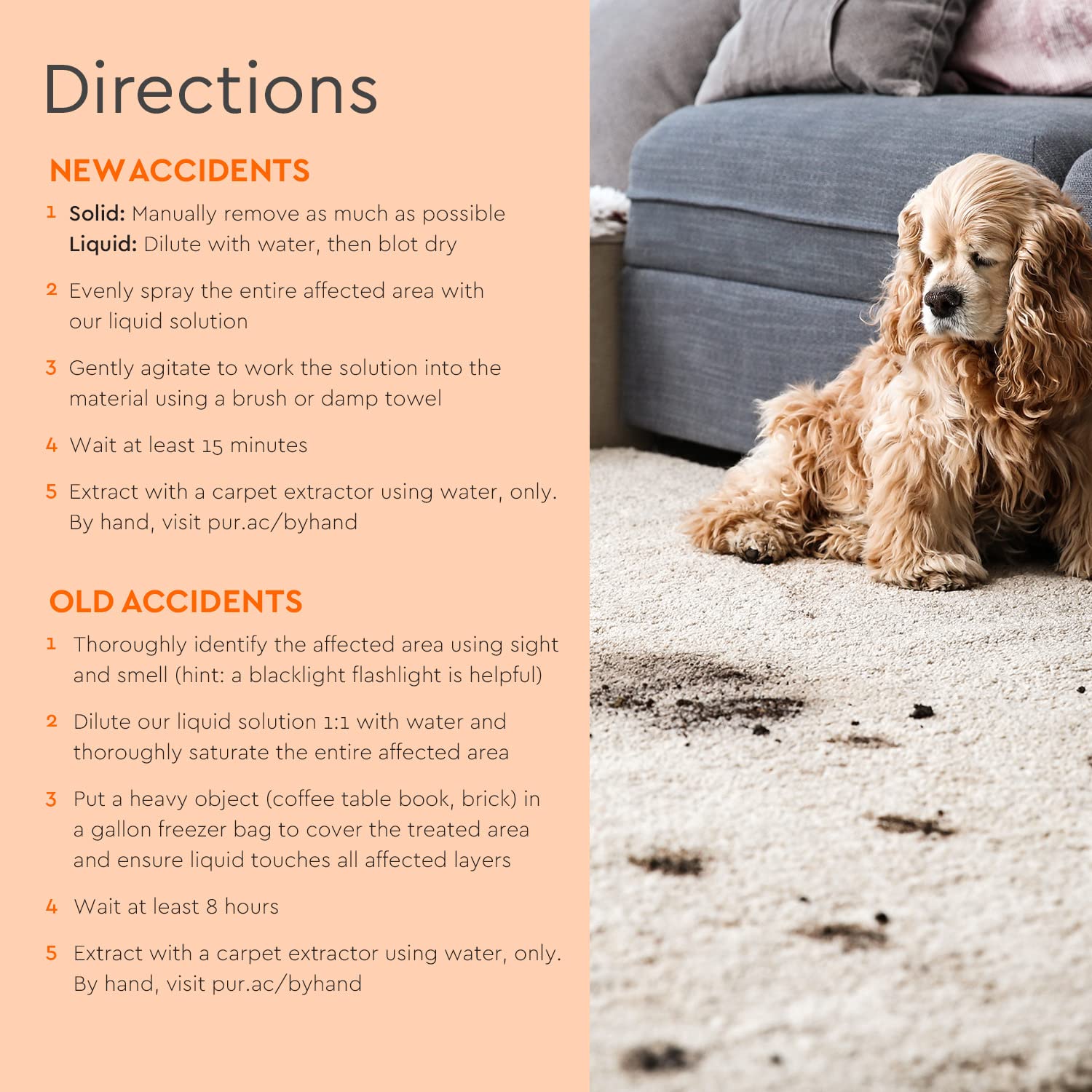 Puracy Natural Platinum Pet Stain And Odor Remover - Plant-Powered Professional Pet Urine Odor Eliminator With Natural Enzymes - Safe And Effective Carpet Pet Stain Remover And Cleaner, 739Ml, 25Oz