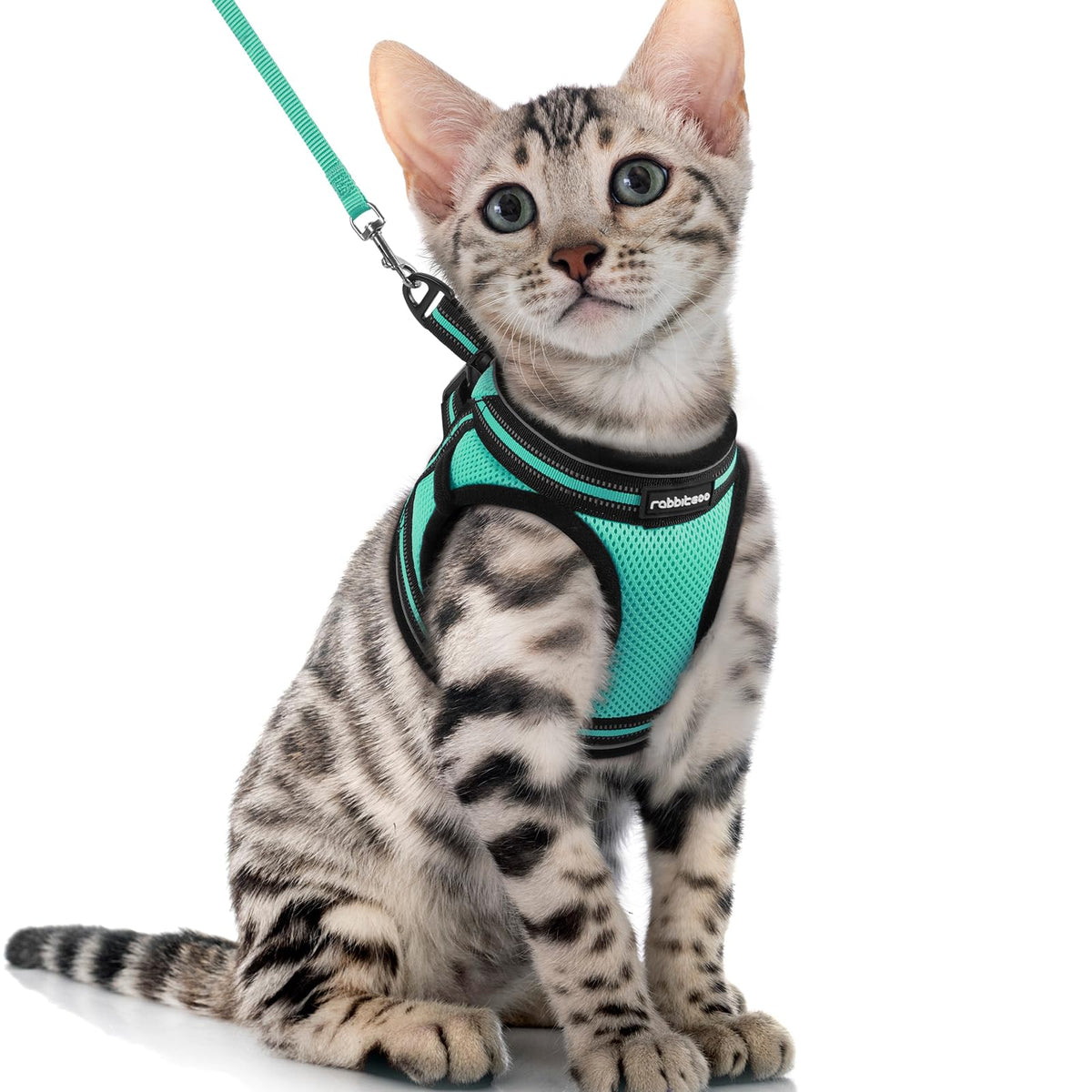 Rabbitgoo Cat Harness And Leash Set For Walking Escape Proof, Adjustable Soft Kittens Vest With Reflective Strip For Cats, Comfortable Outdoor Vest, Green, Xl