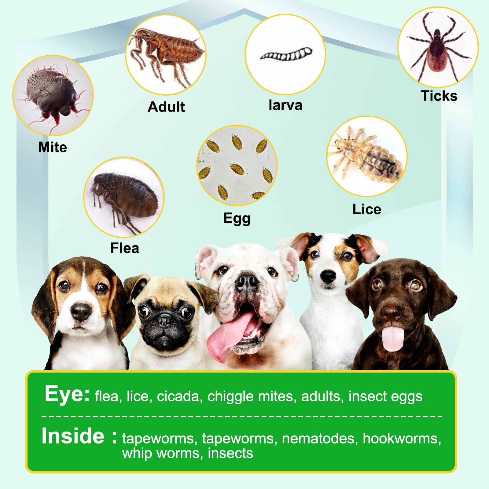 Flea and Tick Prevention for Dogs, 150PCS Chewable Flea and Tick Treats for Dogs (Peking Duck Flavor)