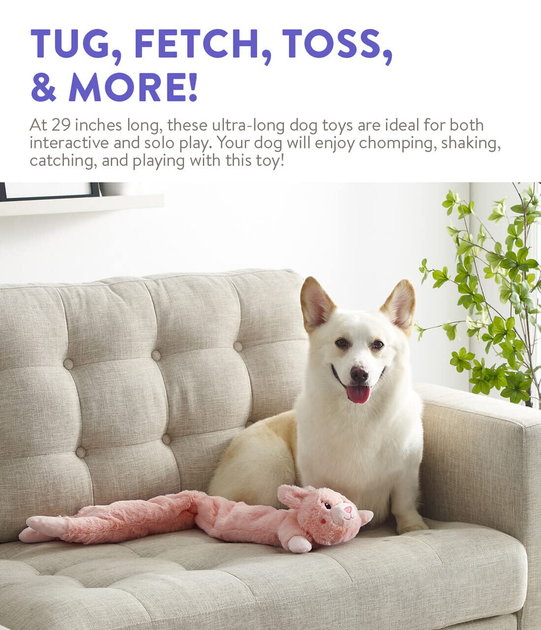 Outward Hound Longidudes Rabbit Plush & Squeaky Dog Tug Toy