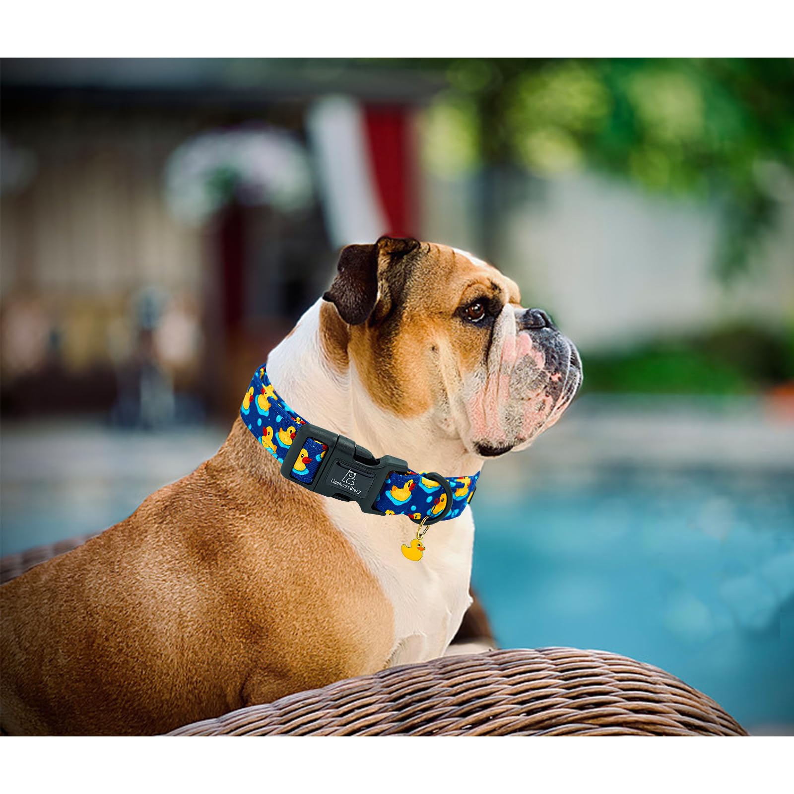 Lionheart Glory Dog Collar Ducky Pattern Cute Collar For Medium Dogs Spring Summer Female Or Male Collars Pets Gift Adjustable H