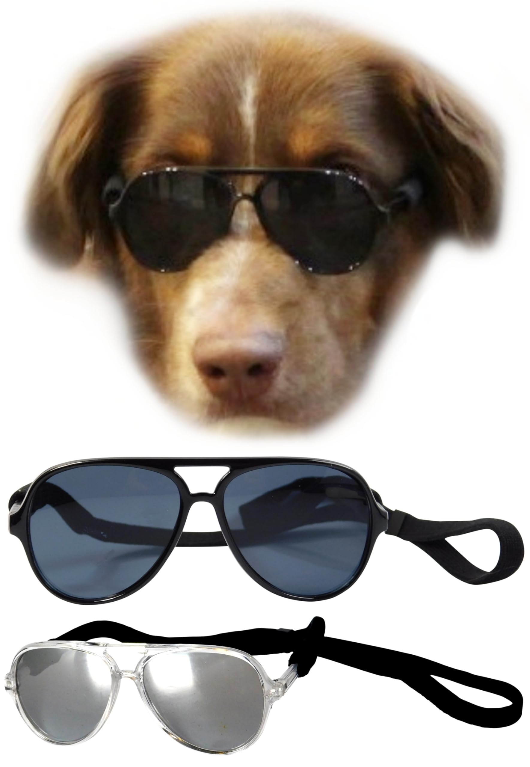 G010 Dog Pet Costume Prop Aviator Sunglasses Medium Breeds 20-40 Lbs (2-Pack Black+Crystal Clear-Mirror)