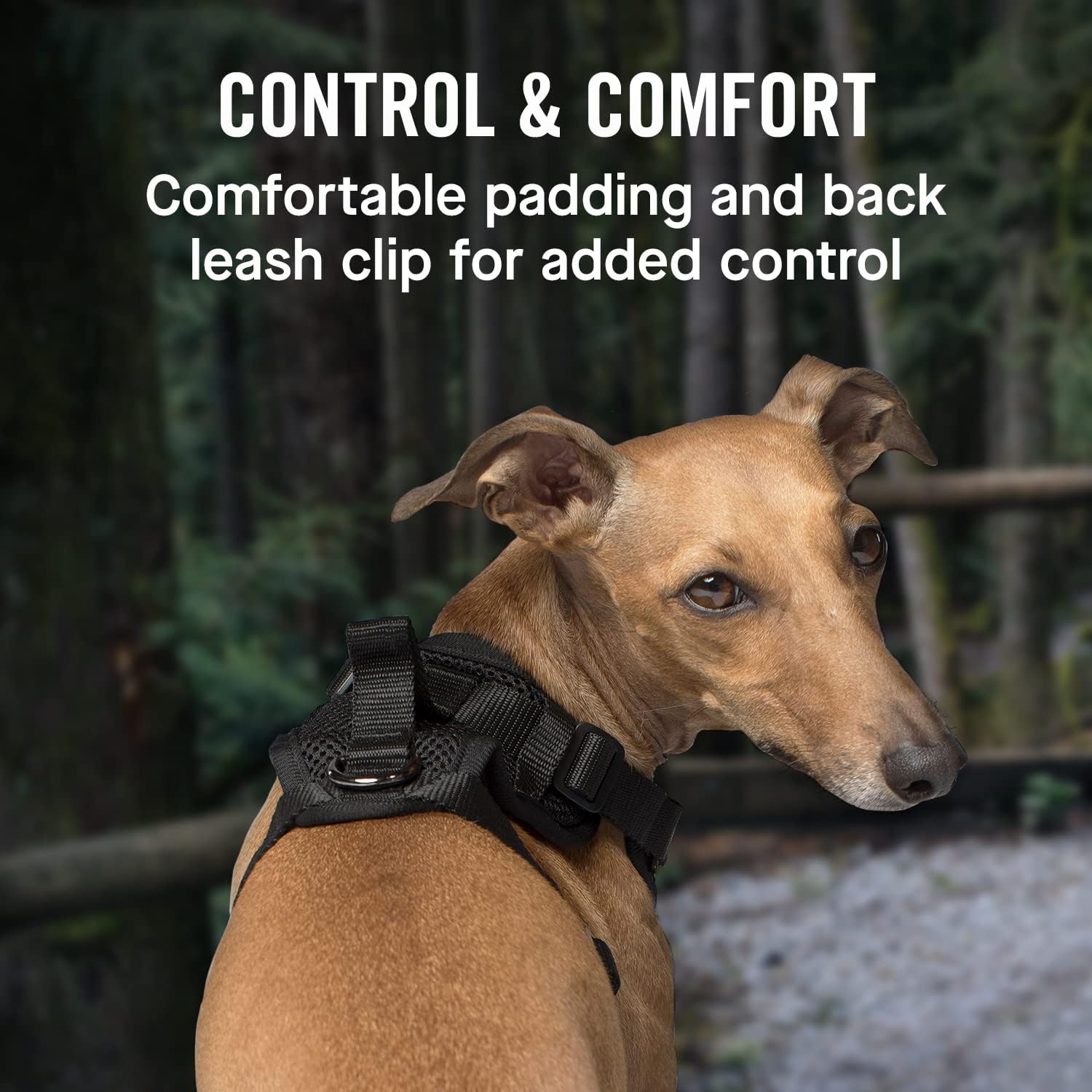 Canada Pooch Everything No Pull Dog Harness - Easy Walk Harness For Dogs With Breathable Mesh Exterior, Adjustable Dog Walking H