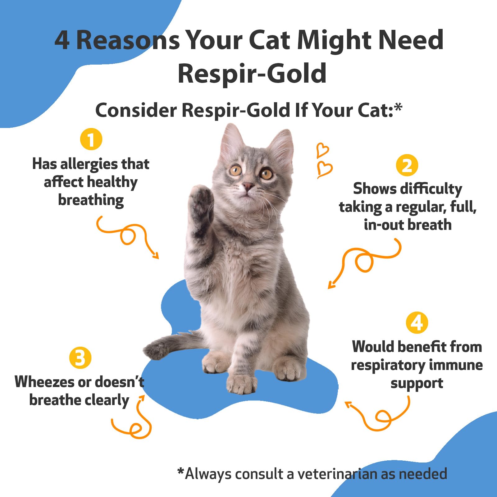Pet Wellbeing Respir-Gold for Cats - Supports Healthy Breathing, Open Airways, Respiratory Support, Black Cumin, Horehound, Grin