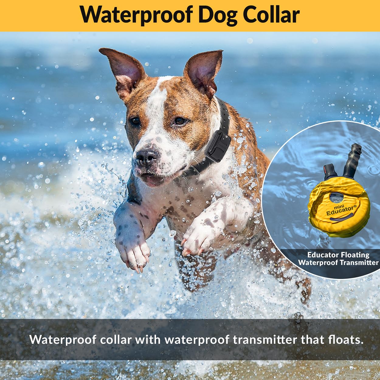 Educator 1/2 Mile Remote Dog Training System Plus E-Collar 101 Training Dvd, Safe Humane Stimulation, Pavlovian Tone, Waterproof