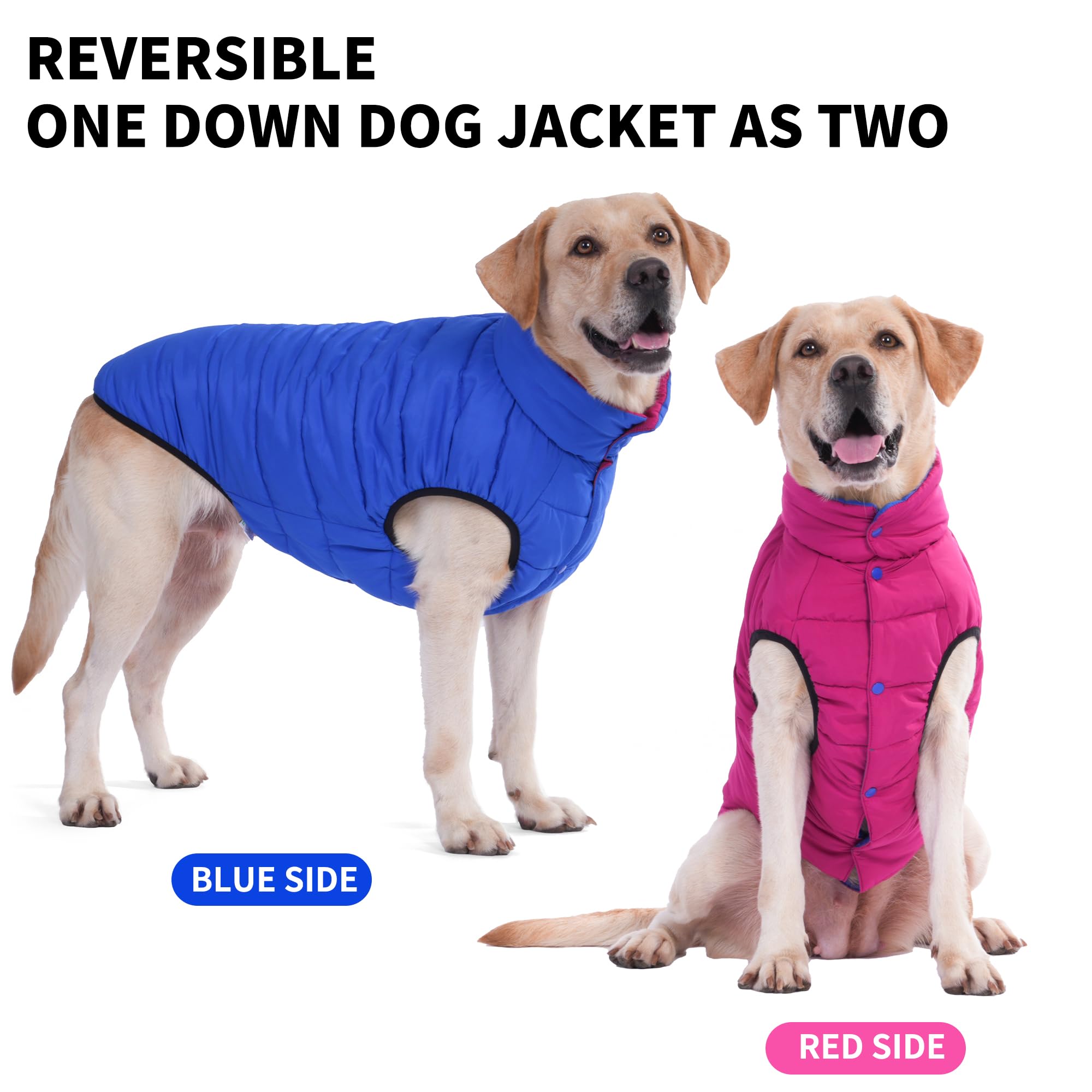 Lovinpet Dog Winter Jacket - Reversible Medium & Large Down Coat, Snap Button Down Jacket, Windproof, Snowproof & Waterproof, Du