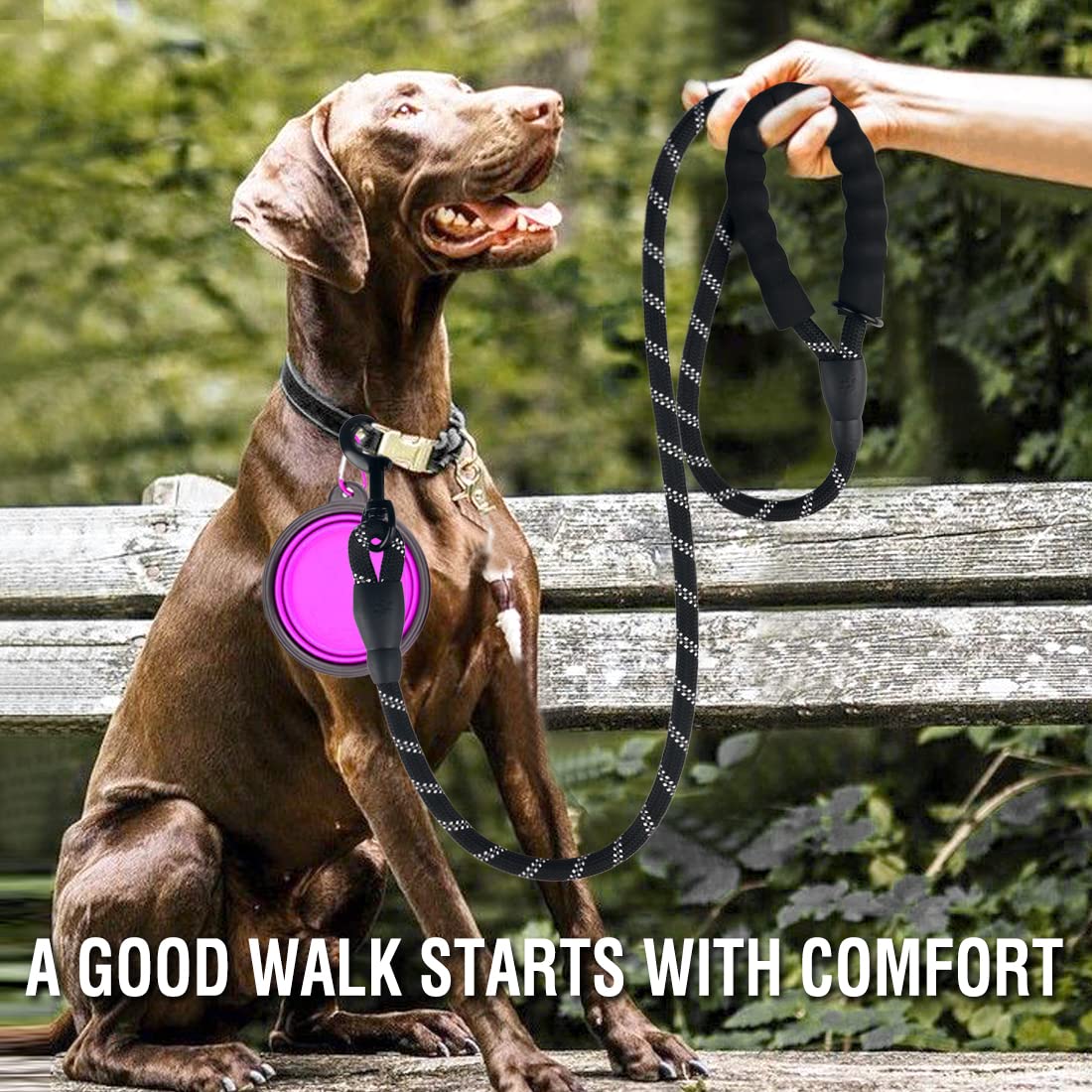 Cooyoo 2 Pack Dog Leash 2/5/6 Ft Heavy Duty - Comfortable Padded Handle - Reflective Dog Leash For Medium Large Dogs With Collap