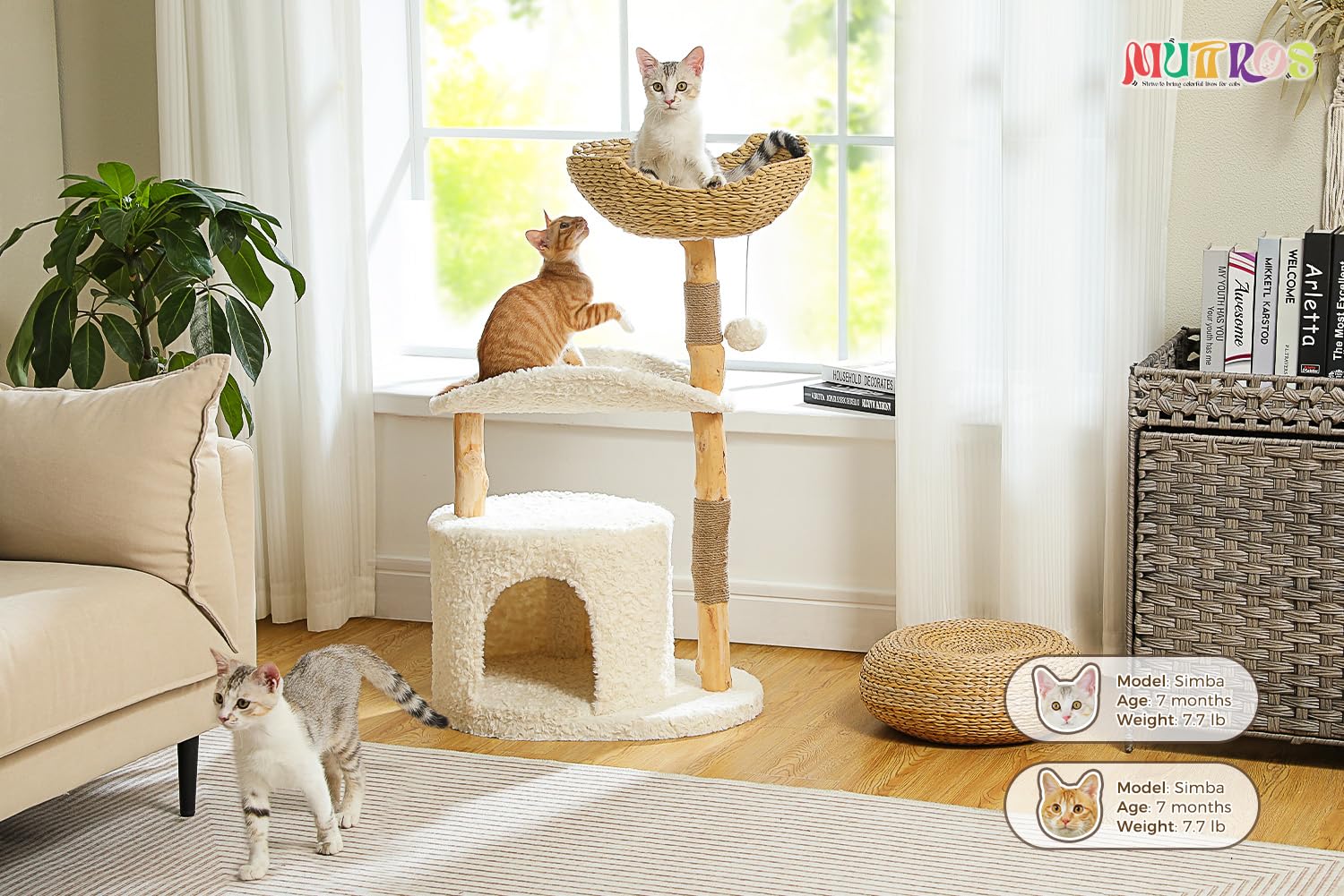 Muttros Modern Cat Tree Tower For Large Cats, Wood Cat Tower With Natural Scratching Post, Solid Wood Condo, Real Branch Luxury