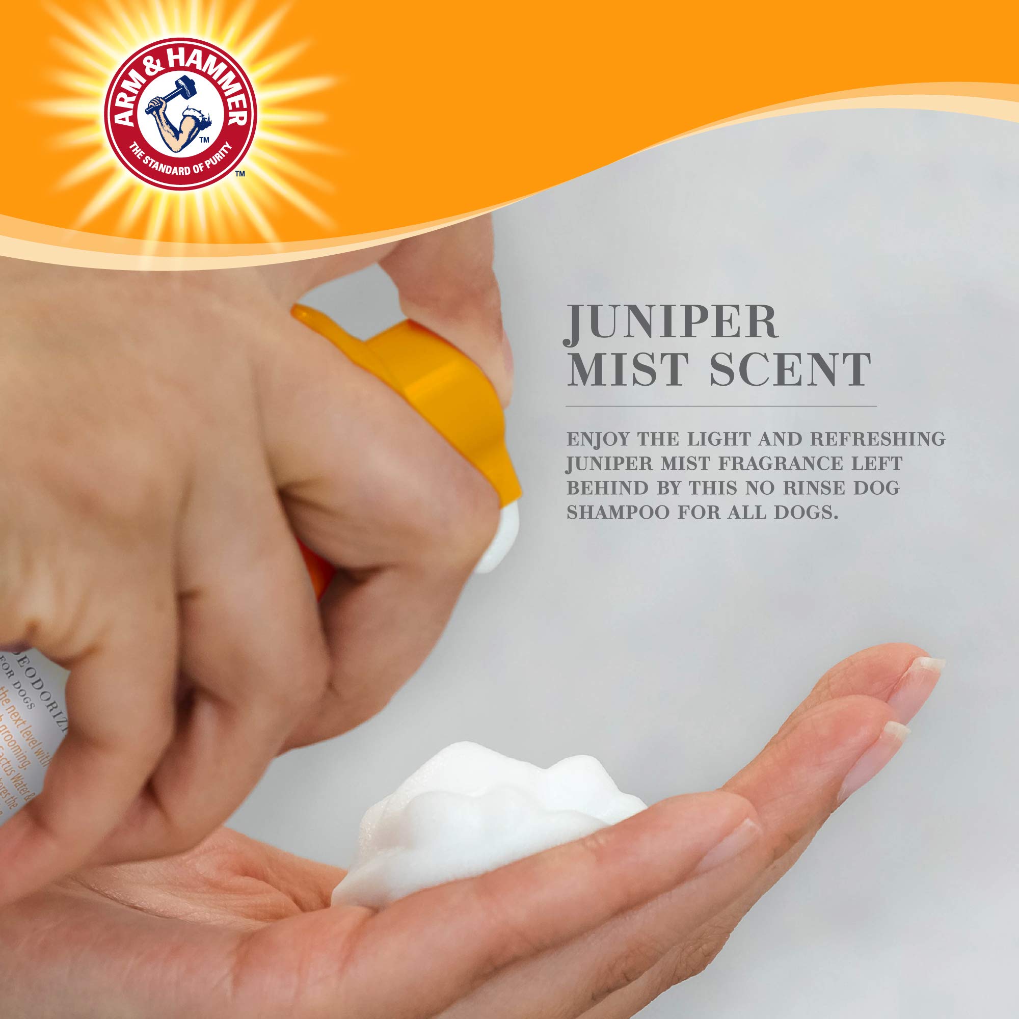 Arm & Hammer Ultra Fresh No Rinse Deodorizing Foam for Dogs, Juniper Mist, 8 Fl Oz - Waterless Dog Shampoo with Baking Soda