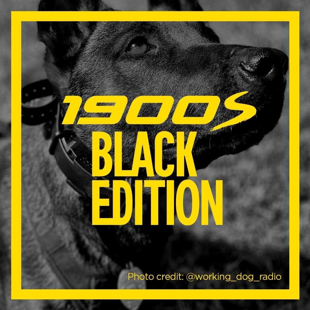 Dogtra 1900S Black Boost & Lock E-Collar Remote Dog Trainer 1-Mile Range Ergonomic Ipx9K Waterproof High-Output Matte Black