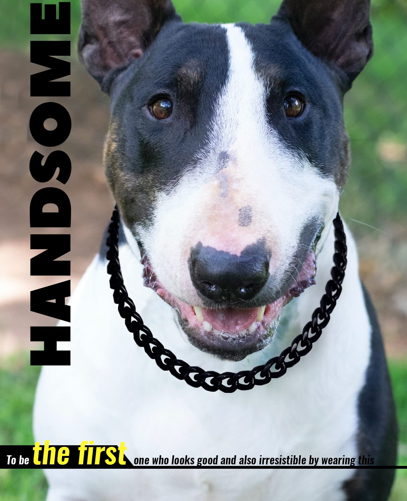 Cuban Link Dog Collar - Metal Chain 3/5 In Wide Venom Black Dog Necklace,The Newest Design Eye-Catching Cute Fashion Trendy Frenchie Puppy'S Jewelry 16'