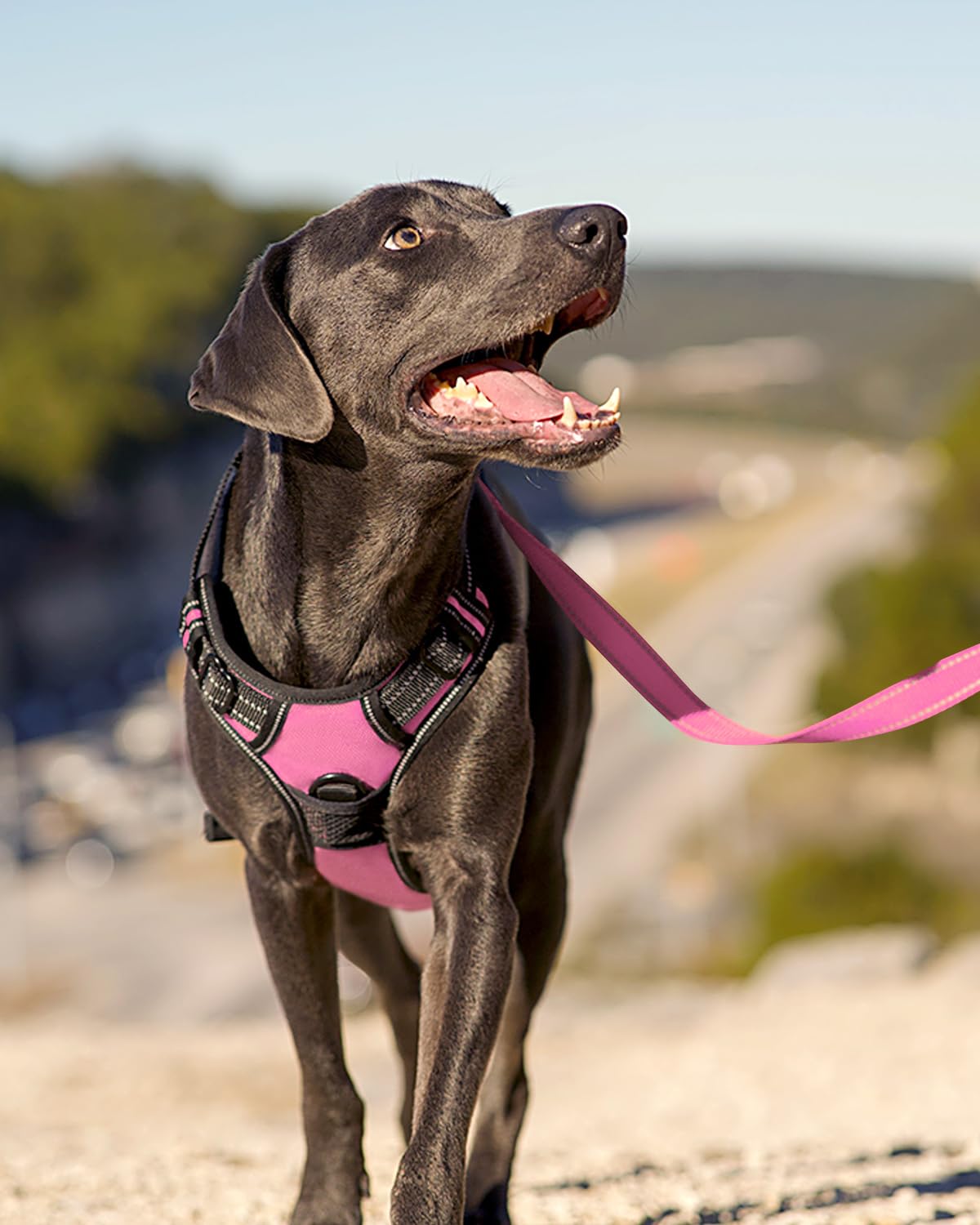 Joytale No Pull Dog Harness For Large Dogs, Reflective Pet Vest With Front Clip, Adjustable Soft Padded Harnesses With Easy Cont
