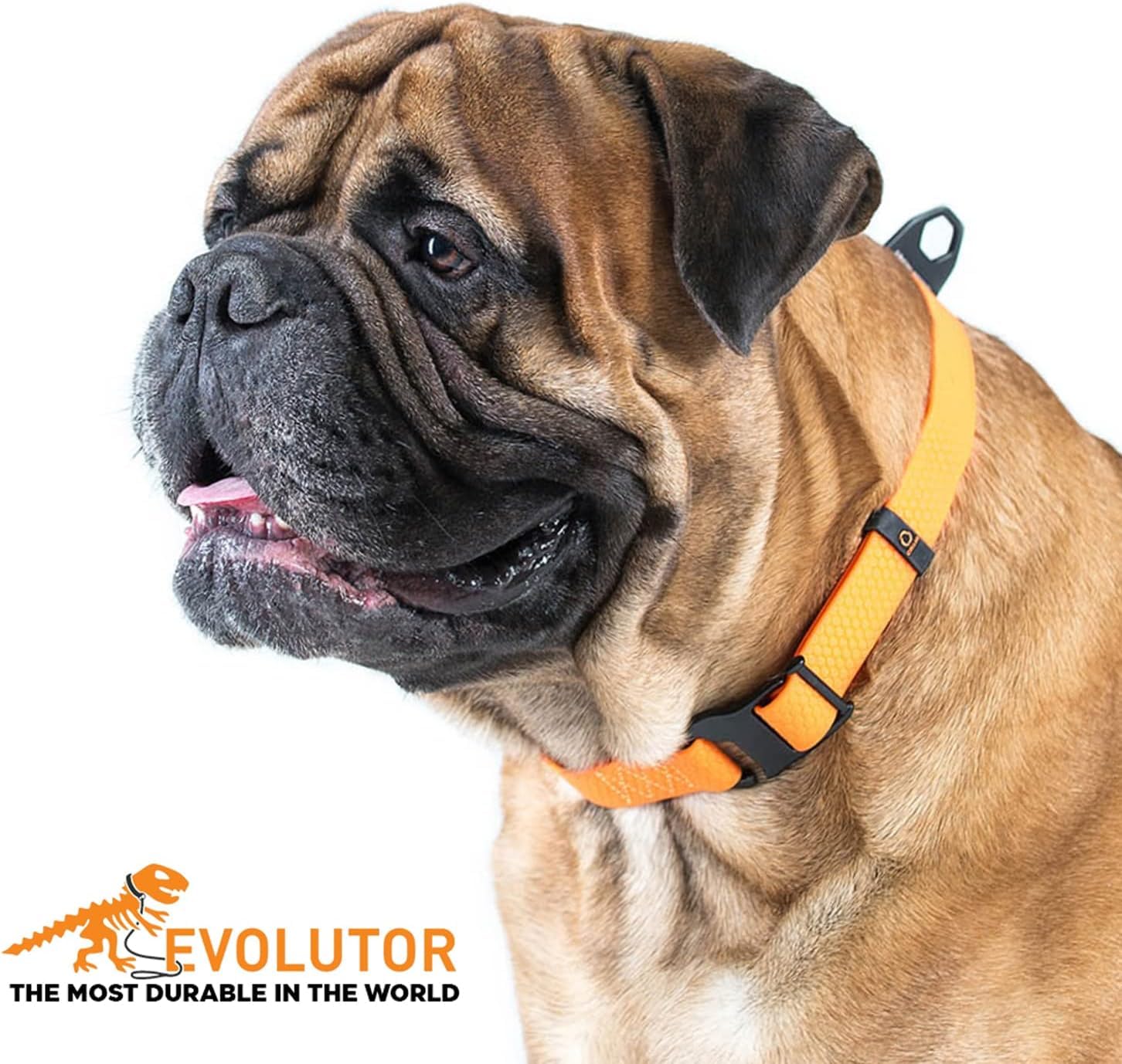 Waudog Heavy Duty Waterproof Dog Collar - Adjustable Dog Collar For Large Dogs, Small And Medium Dogs - Dog Collar Waterproof Wi