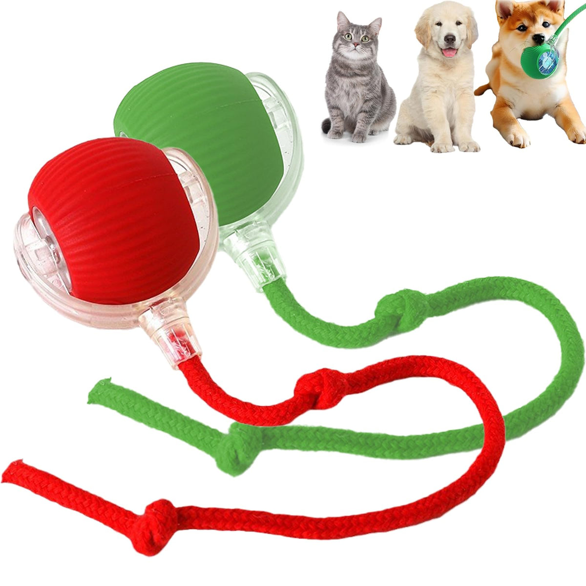 Kefota 2Pack Interactive Cat Ball Toy, Self Rolling Ball Cat Toy, New Cat Toys For Indoor Cats, Smart Automatic Rolling Ball Cat