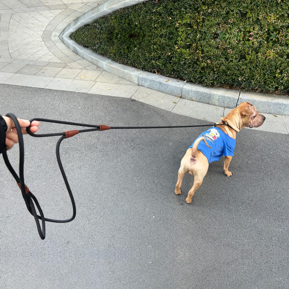Yucforen Double Handle Slip Lead 8Ft Dog Leash, Anti Choke 1/4'' Nylon Rope Training Leash, Traffic Handle No-Pull Control Lead