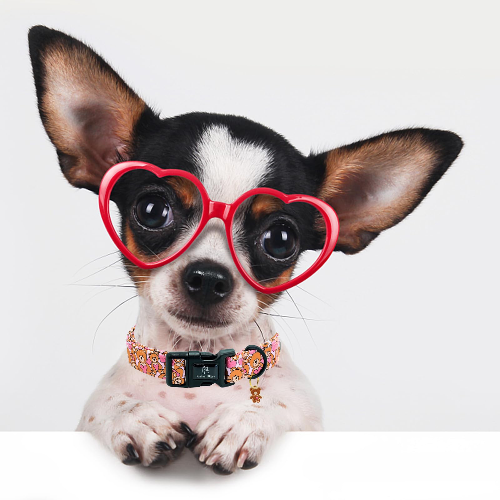 Lionheart Glory Valentine Collar-Bear Hearts Print Dog Collar For Large Cute Pink Dog Collars Spring Female Pet Gift Adjustable