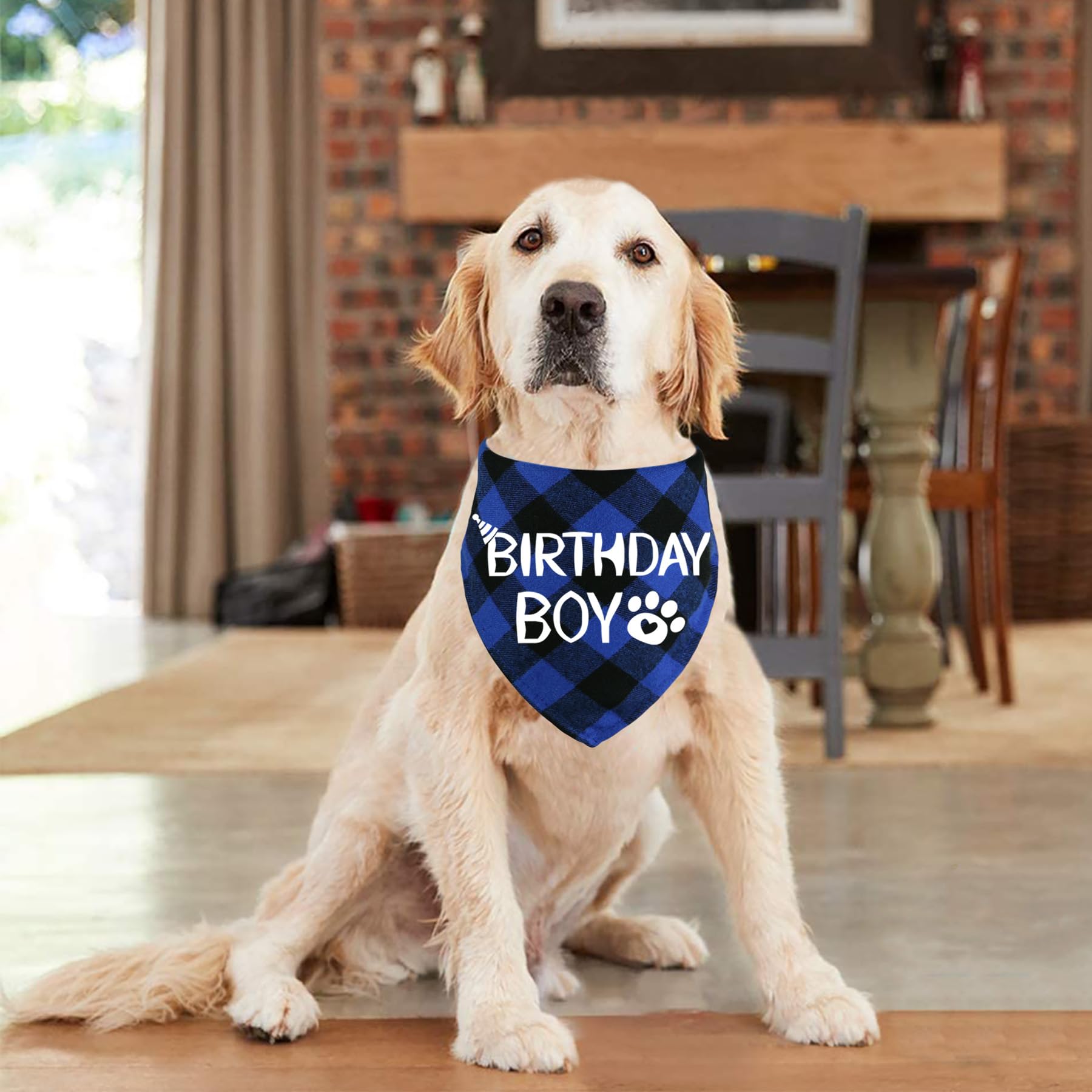 Stmk Dog Birthday Bandana, Multi Sizes Dog Birthday Boy Bandana For Small Medium Large Dogs Pets (X-Large, Blue)
