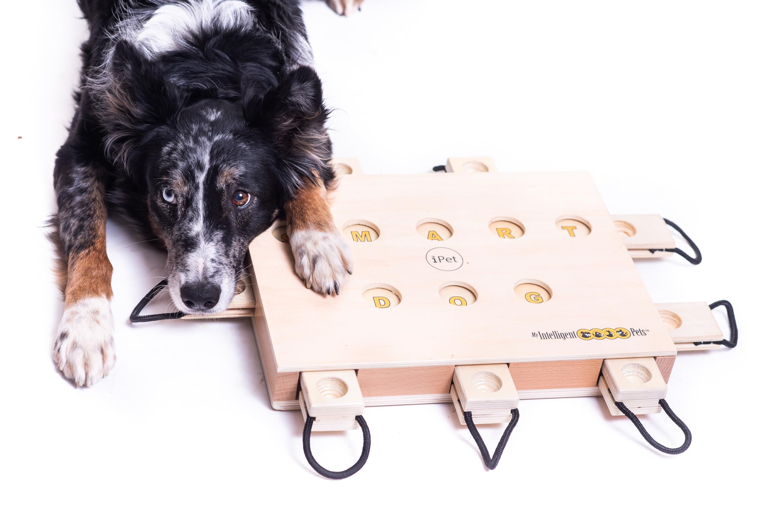 My Intelligent Dogs iPET-Smart Dog - Interactive Wooden Puzzle Toy, Fun and Challenging Brain Game for Smart Dogs, Mental Stimul
