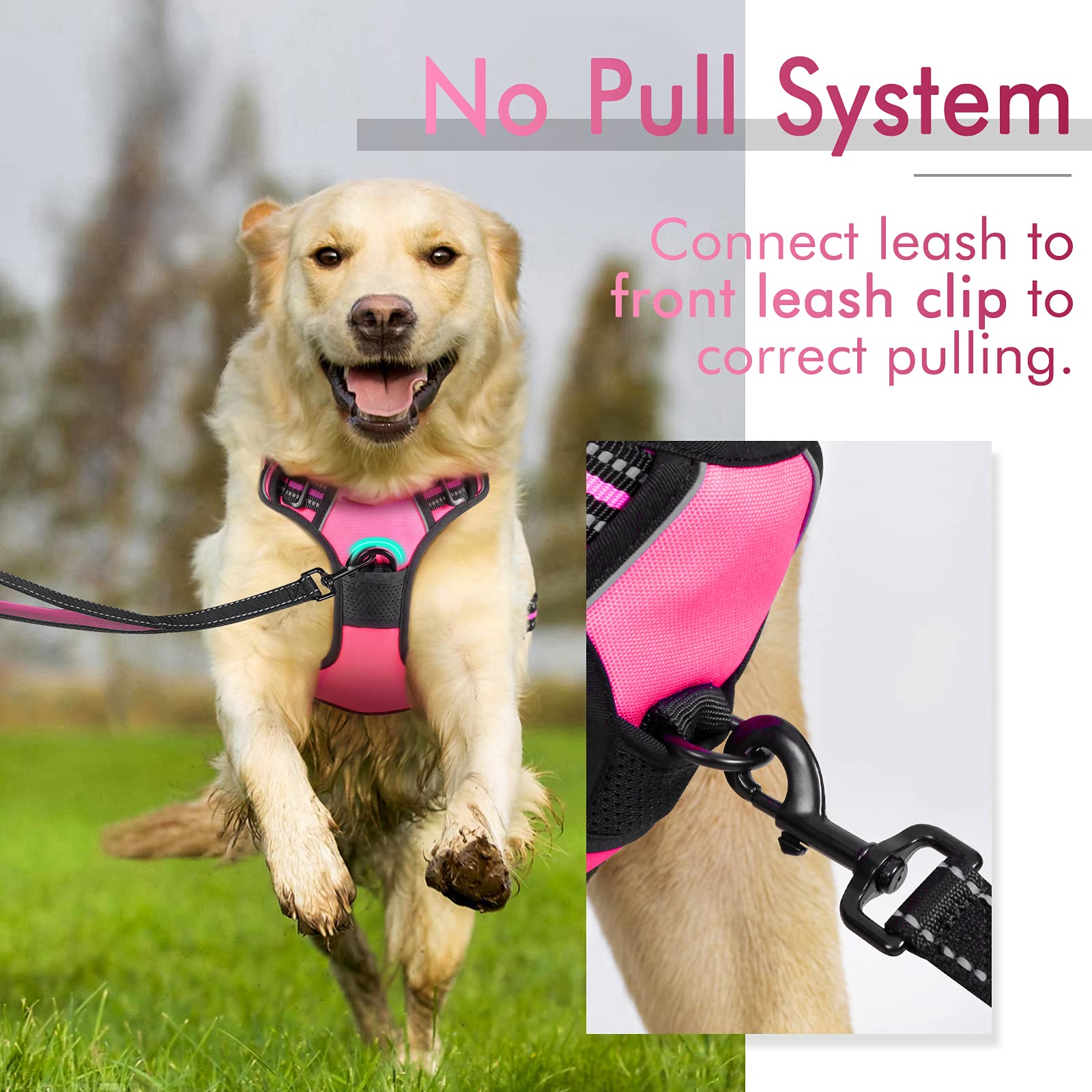Rabbitgoo Dog Harness, No-Pull Pet Harness With 2 Leash Clips, Adjustable Soft Padded Dog Vest, Reflective No-Choke Pet Oxford Vest With Easy Control Handle For Medium Dogs, Hot Pink, M