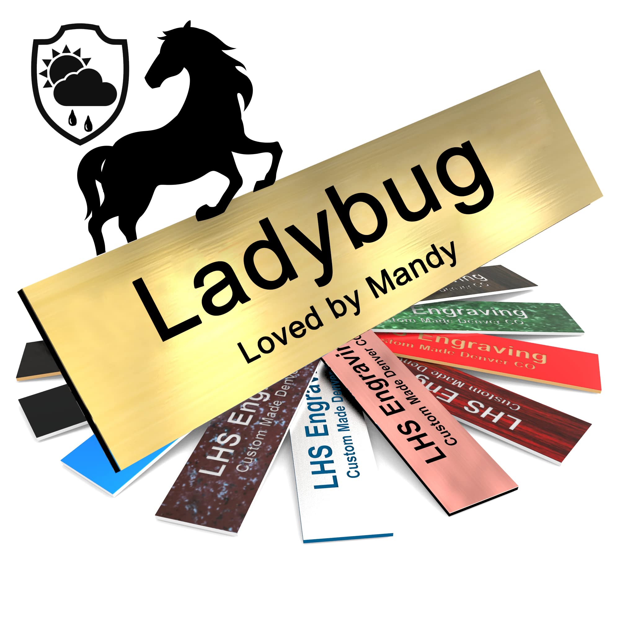 Lhs | Horse Stall Name Plate, 2X10 Personalized Stall Signs, Uv Protected, All Weather Adhesive, Hanging, Mounting Or Other, Bru