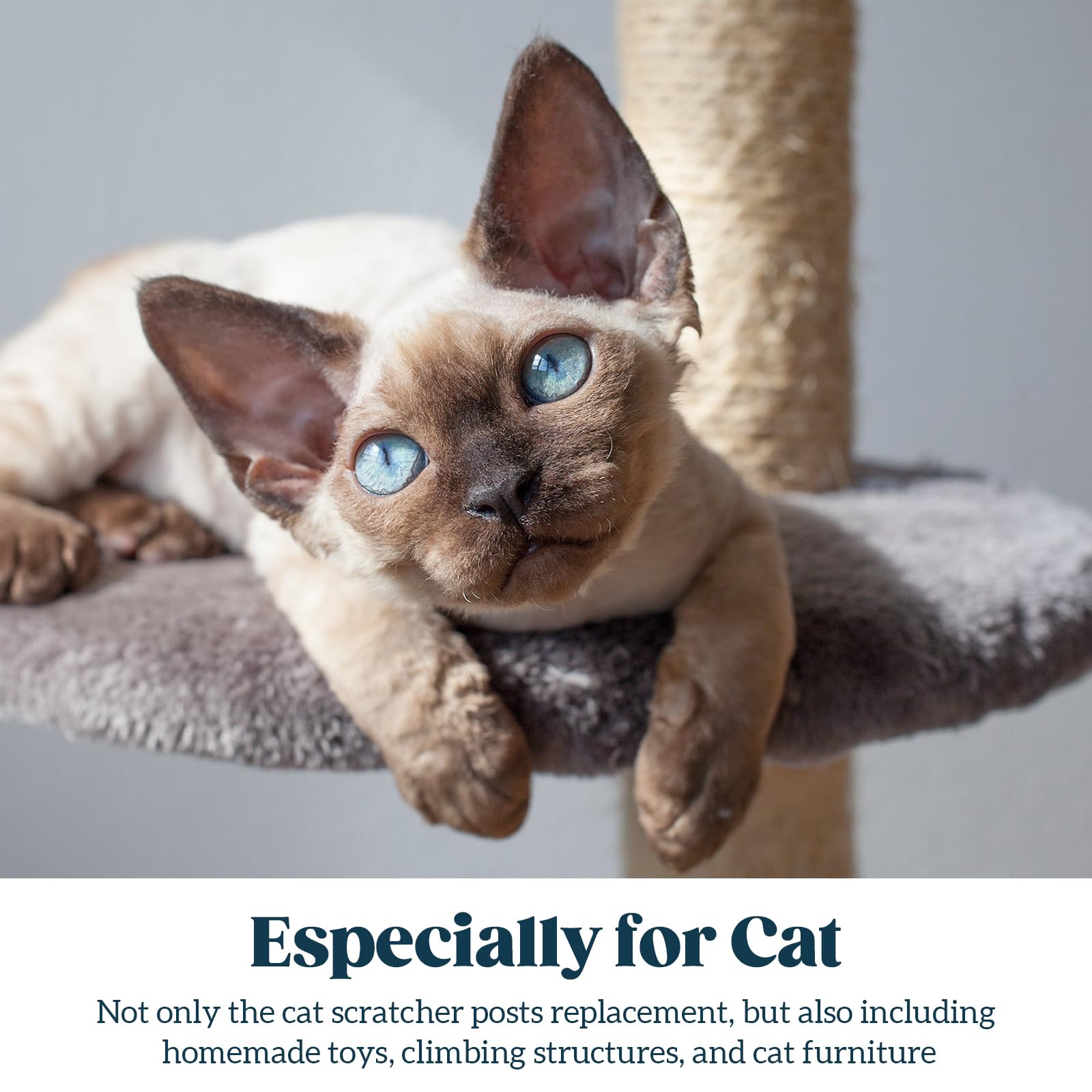 Pelzin Natural Sisal Rope For Cat Scratcher 1/4 Inch By 100 Feet, Cat Tree Rope Twine For Cat Scratching Post Replacement, Cat T