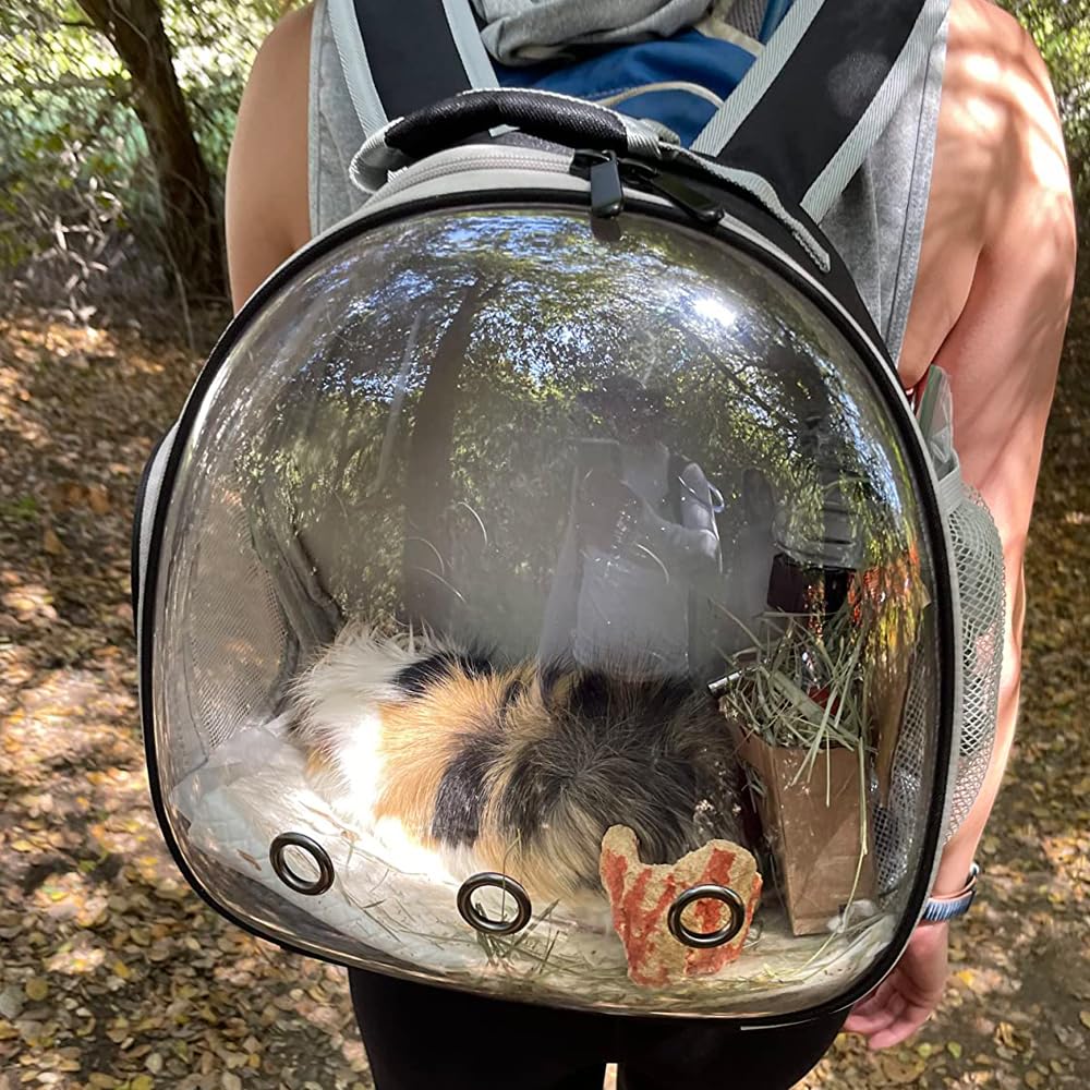 Guinea Pig Backpack Carrier, Reptile Outdoor Used,Bearded Dragon Carrier Backpack With Clear Bubble Window,Small Animal Travel B