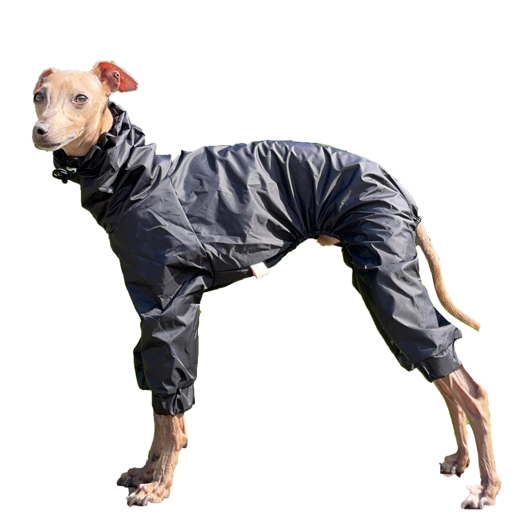 D Doggy Star Italian Greyhound Raincoat Waterproof Jacket Windbreaker Clothes Whippet For Dog (S,Raincoat Black)