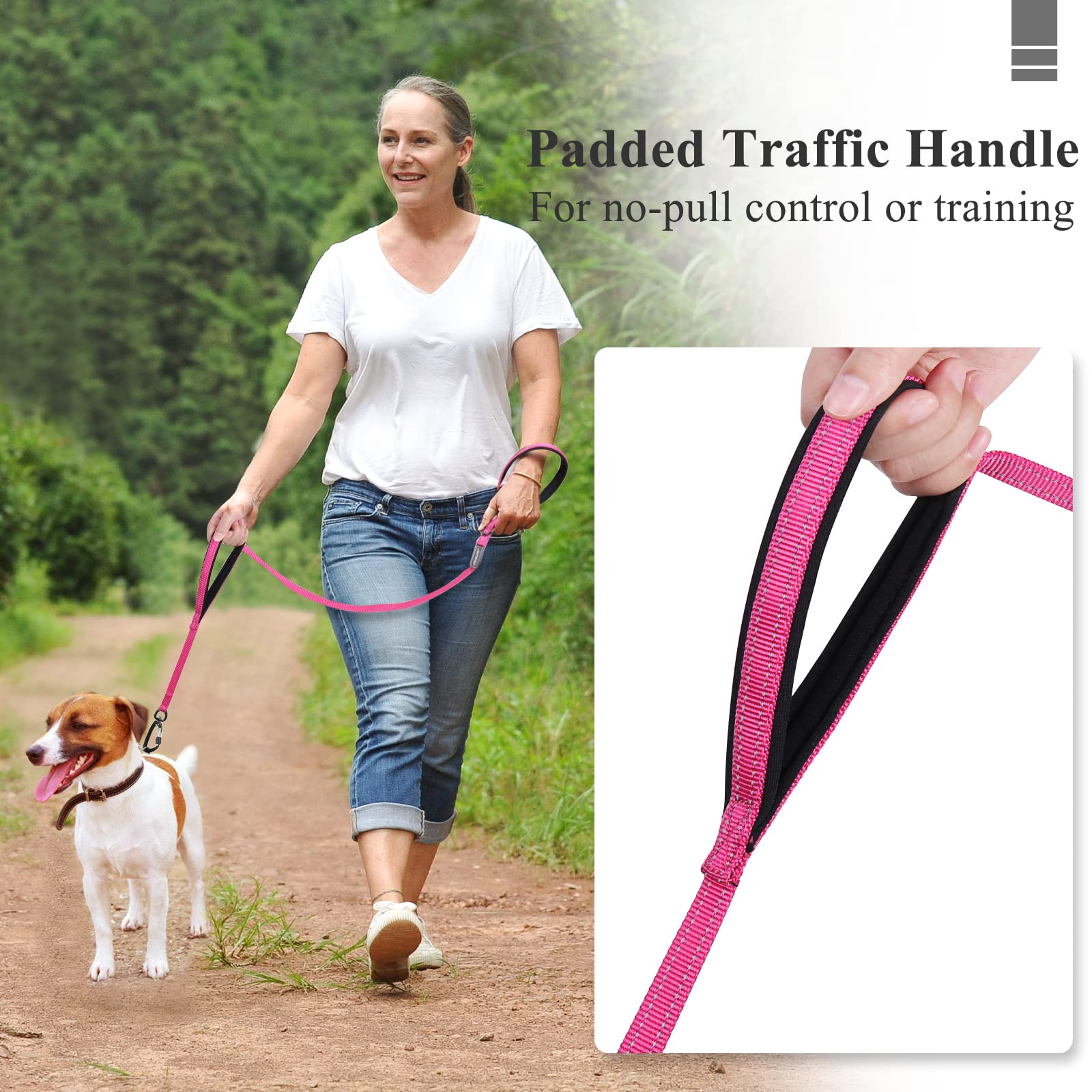 Vivaglory Dog Leash With Lightweight Aluminum Clasp & 2 Padded Handles, 4Ft Nylon Dog Leash Lead Heavy Duty Safety No Pull Climb