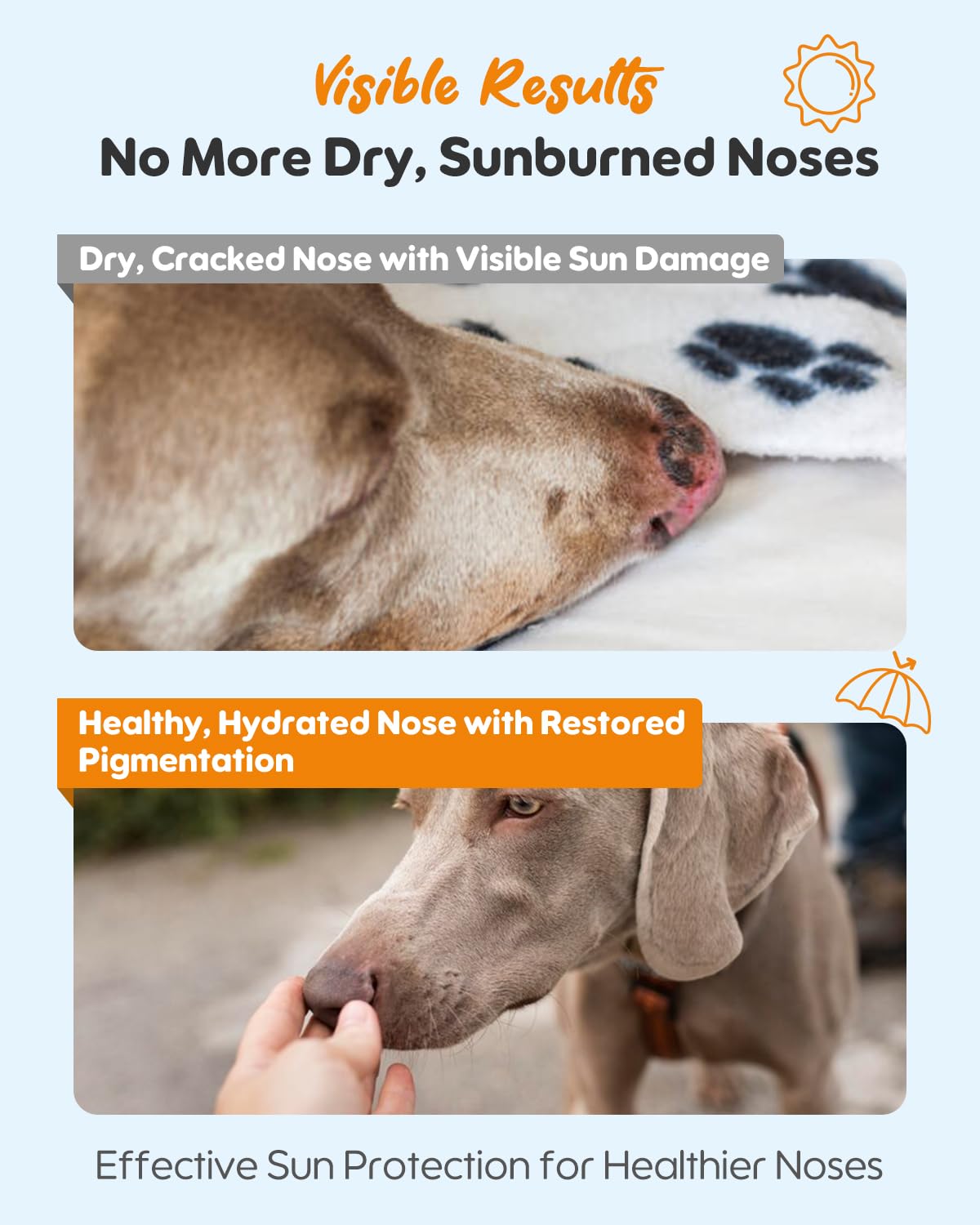Dog Nose Sunscreen Balm SPF 25 - Natural, Lick-Safe Sun Protection with Shea Butter & Sea Buckthorn - Moisturizes & Shields Sens